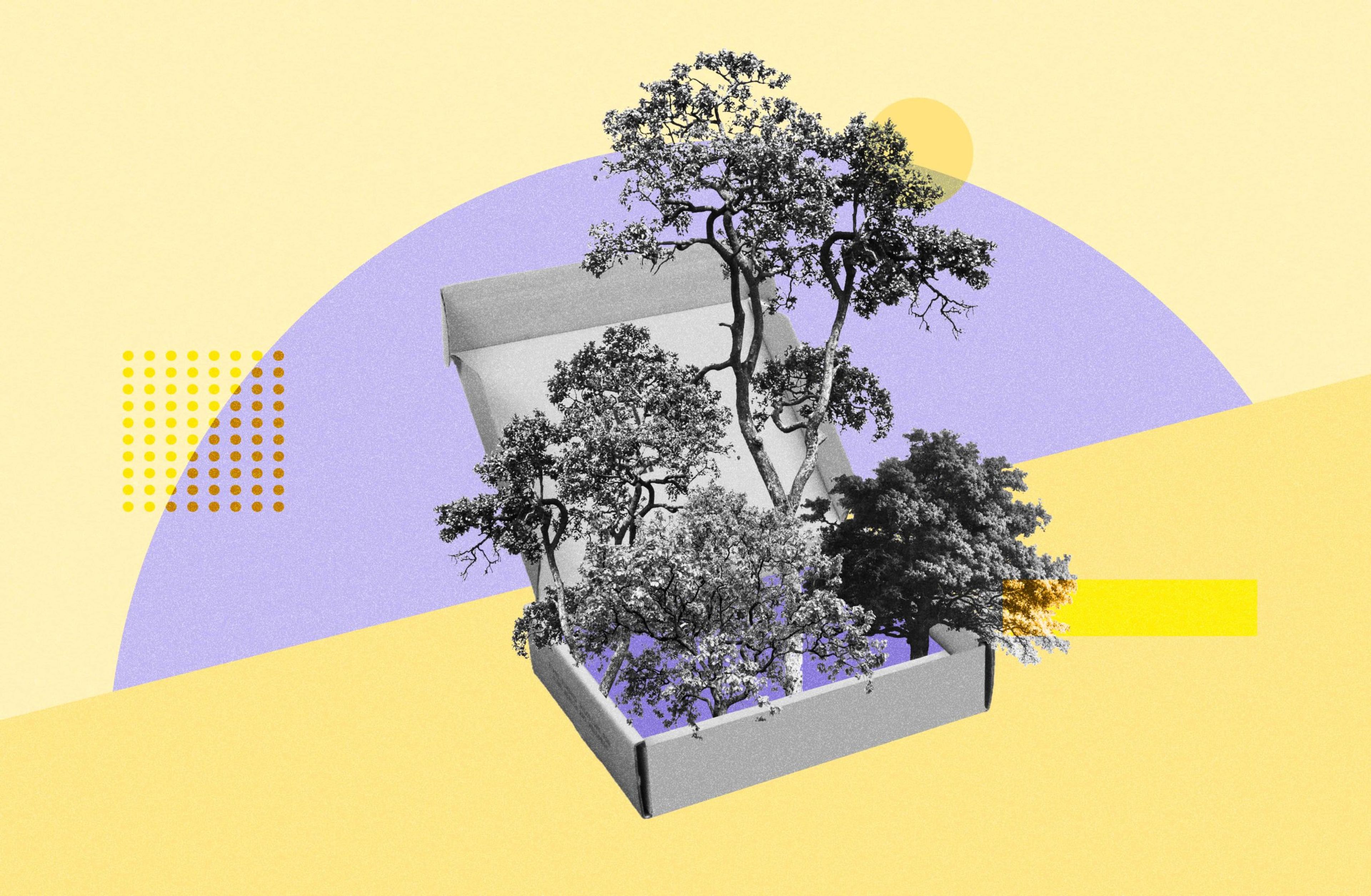 What is the Environmental Impact of Sustainable Packaging