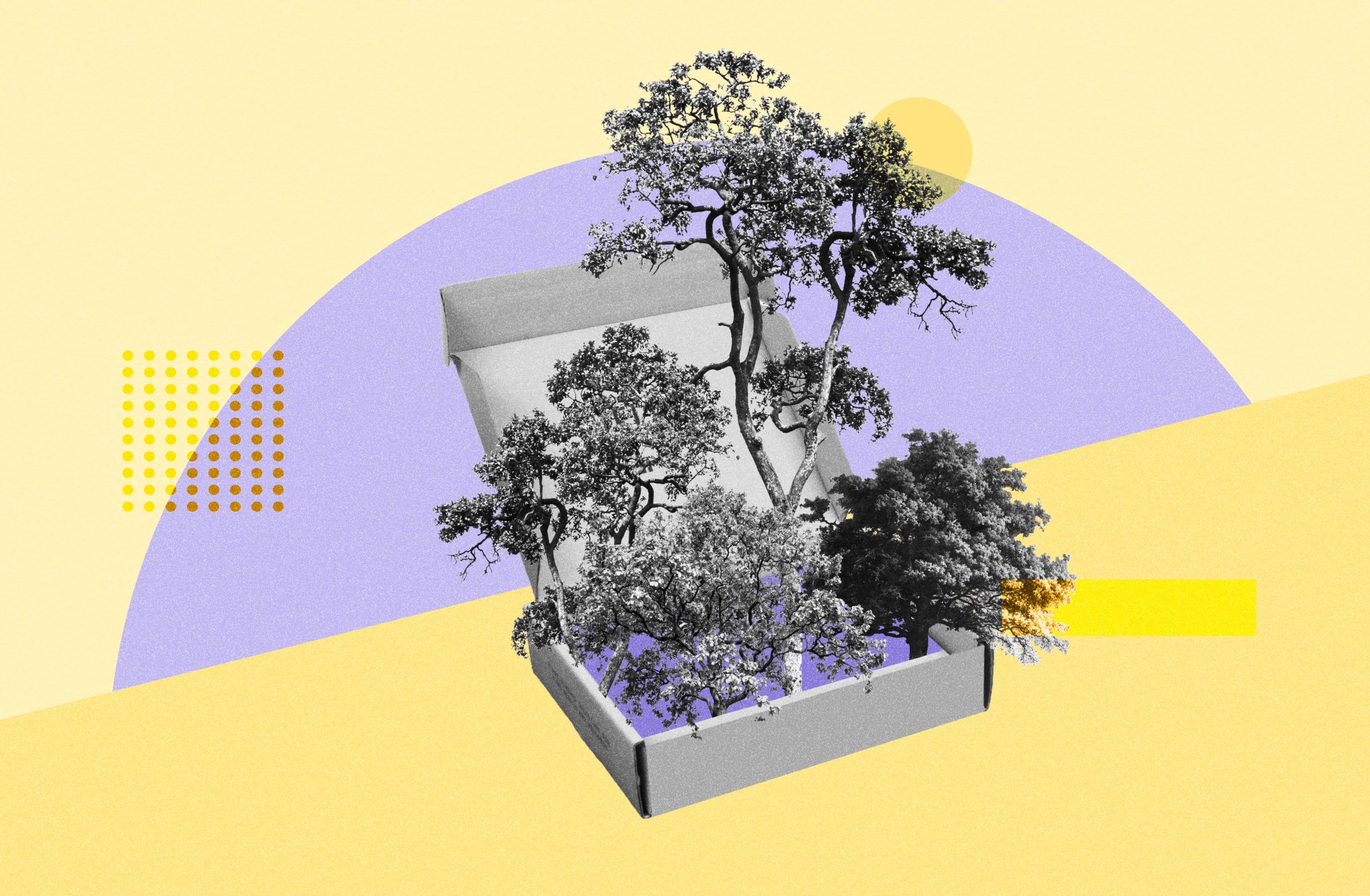 What is the Environmental Impact of Sustainable Packaging