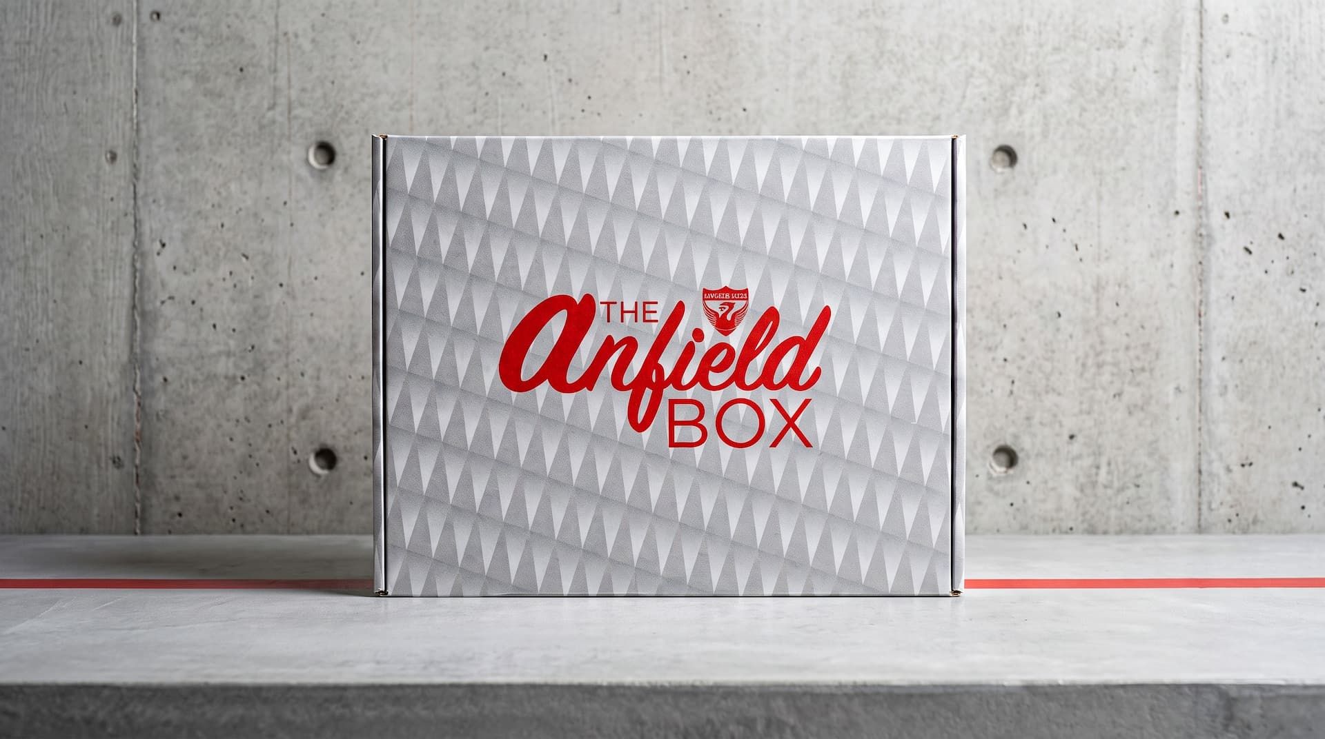 Front view of a closed silver geometric Anfield Box mailer featuring a grey geometric pattern and bold red logo against a concrete wall.