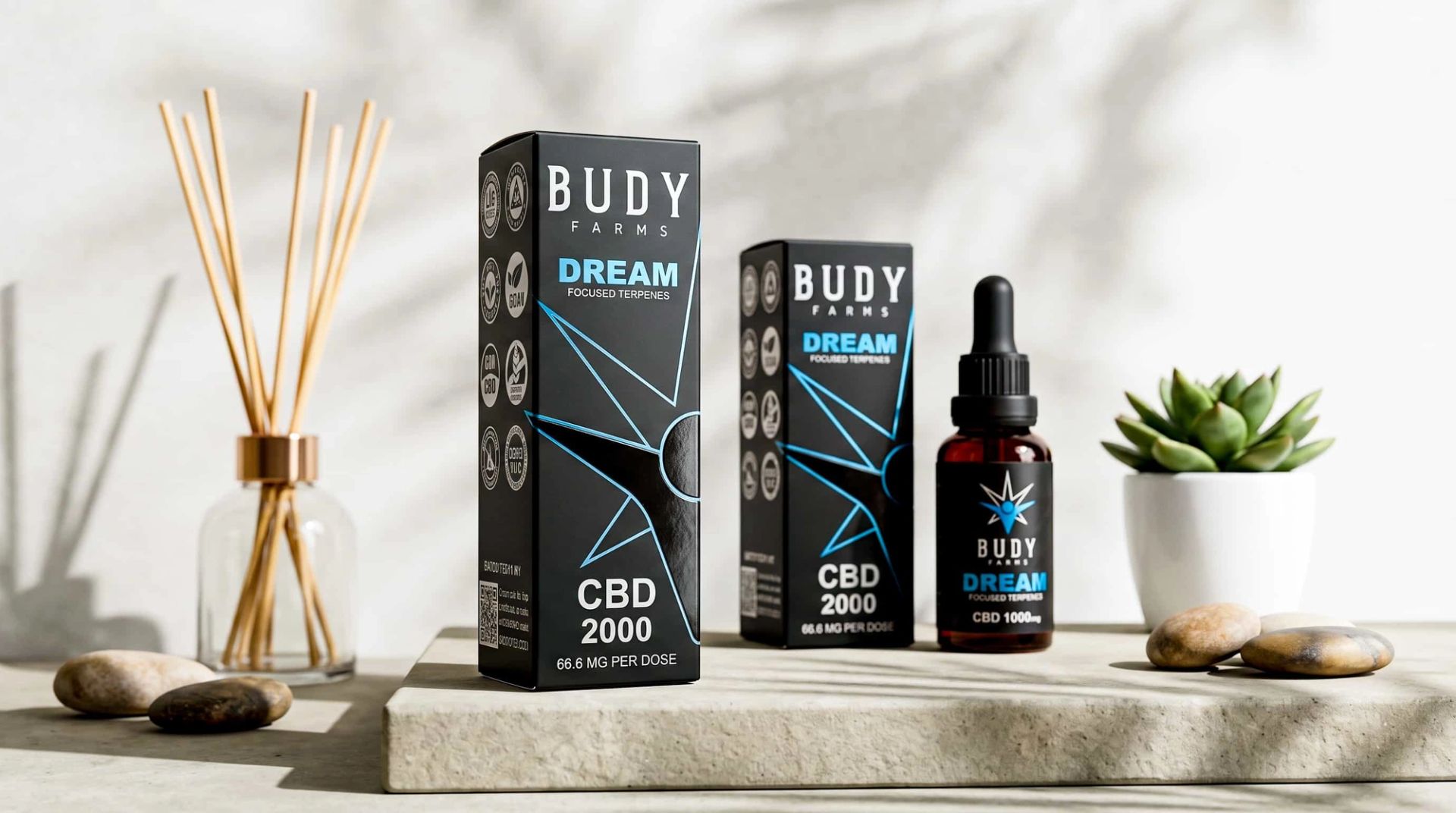 Front and side view of the Budy Farms Dream CBD box next to its blue-labeled dropper bottle on a stone slab.
