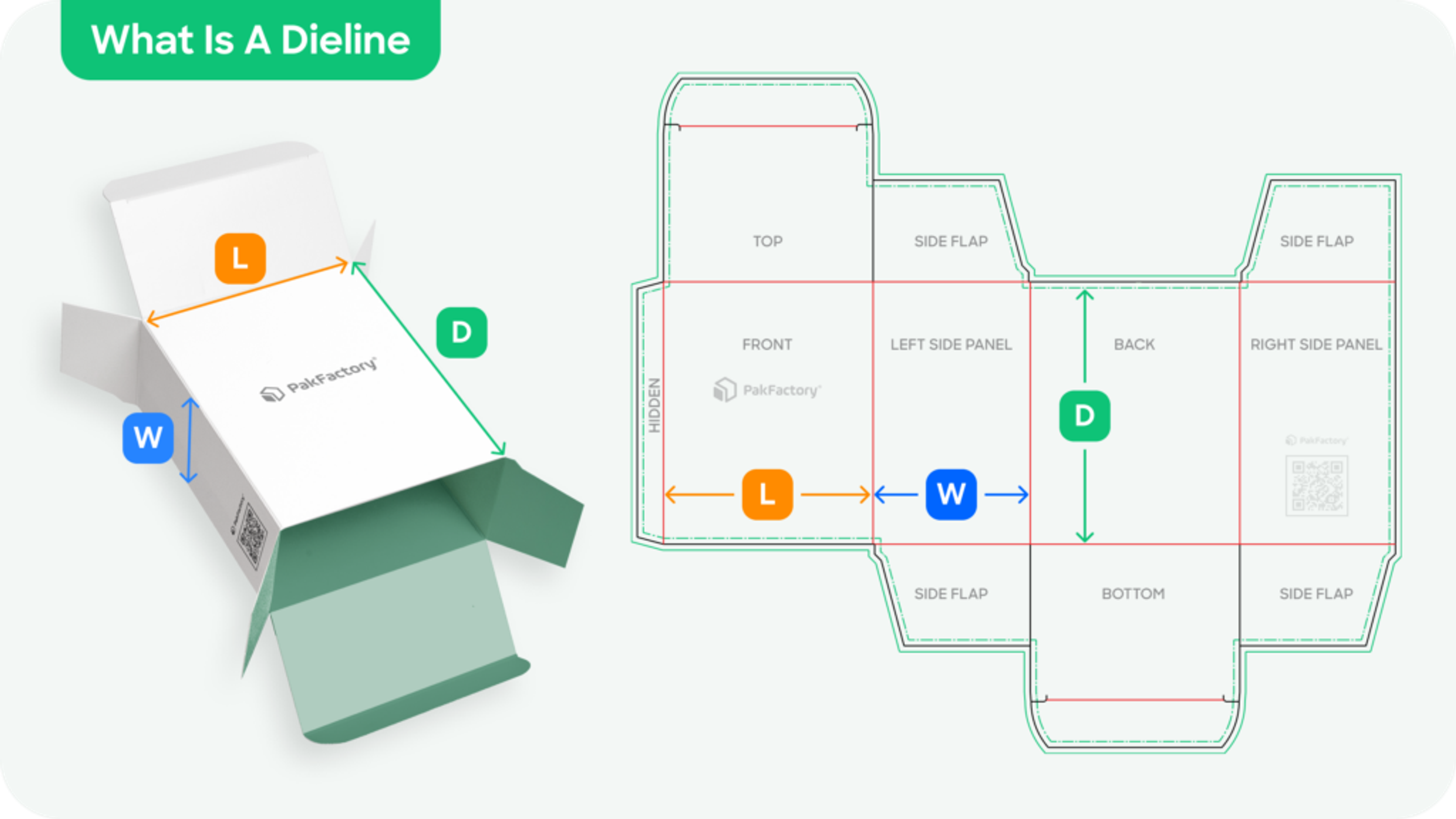 What is a dieline? An example of dieline and box