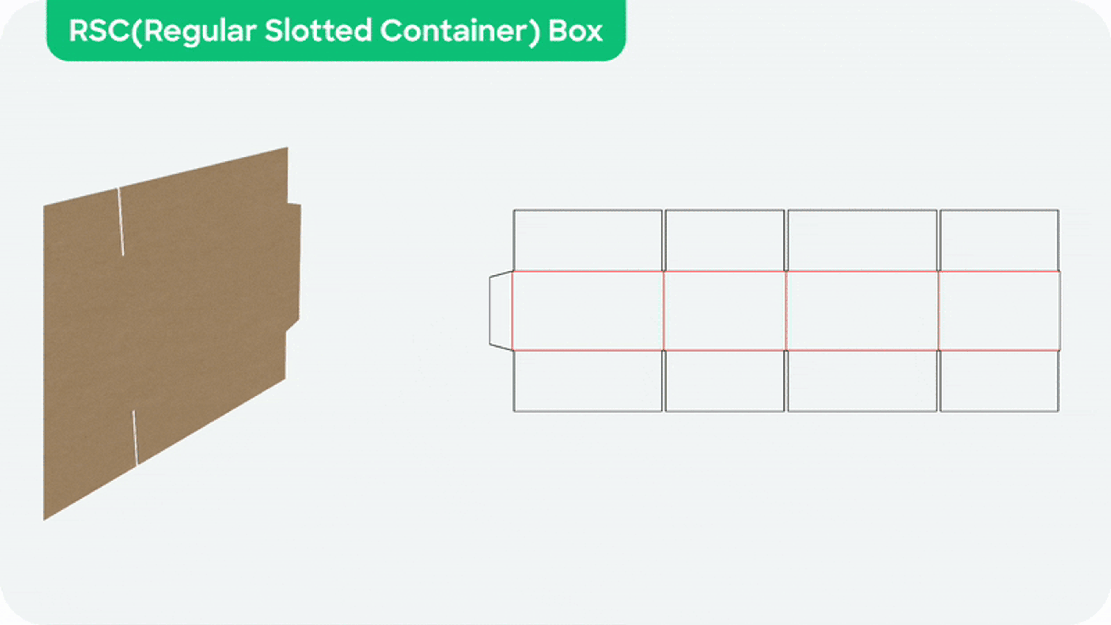 Example of a RSC box and its dieline, showing how it is folded in 3D mockup.