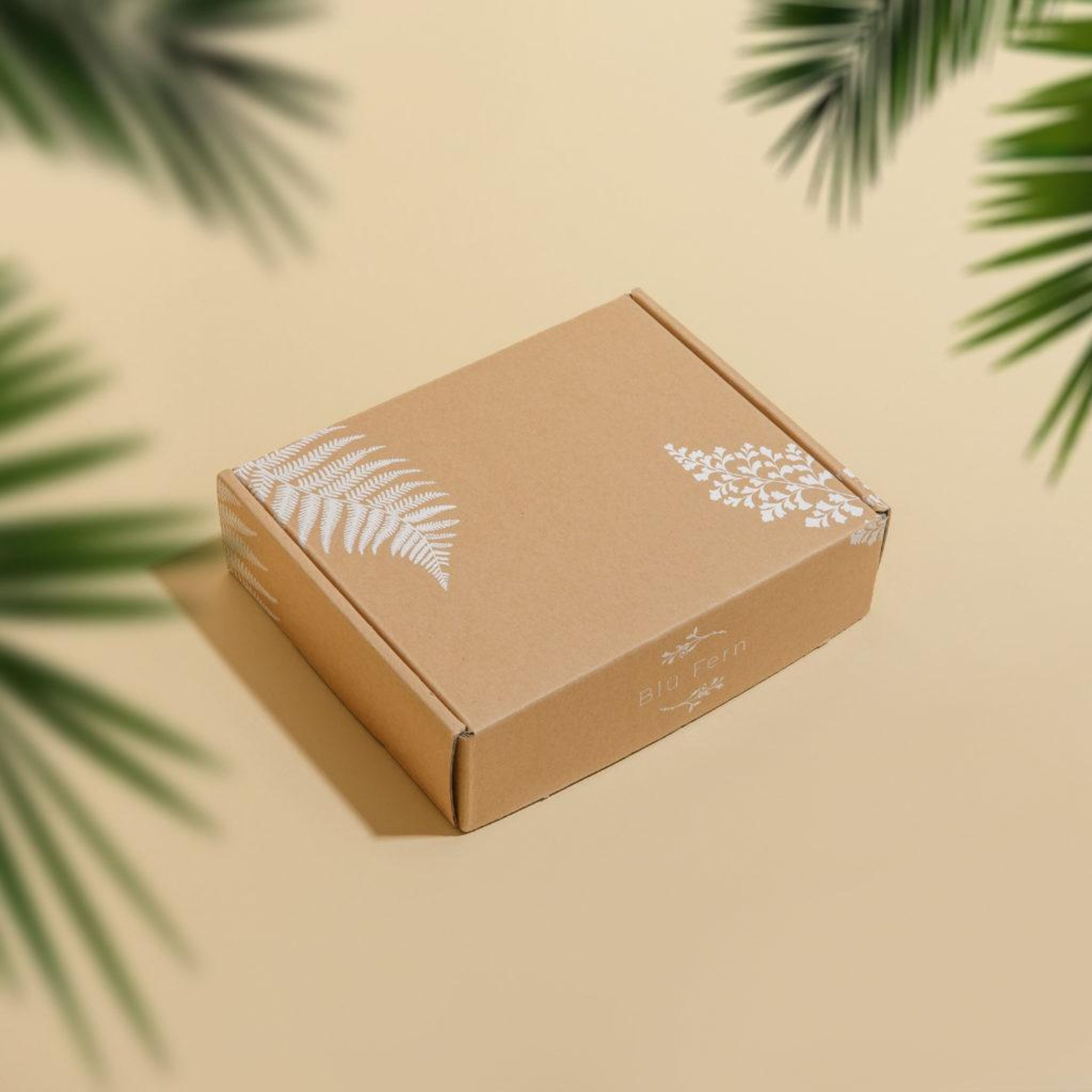 2023 05 kraft mailer box