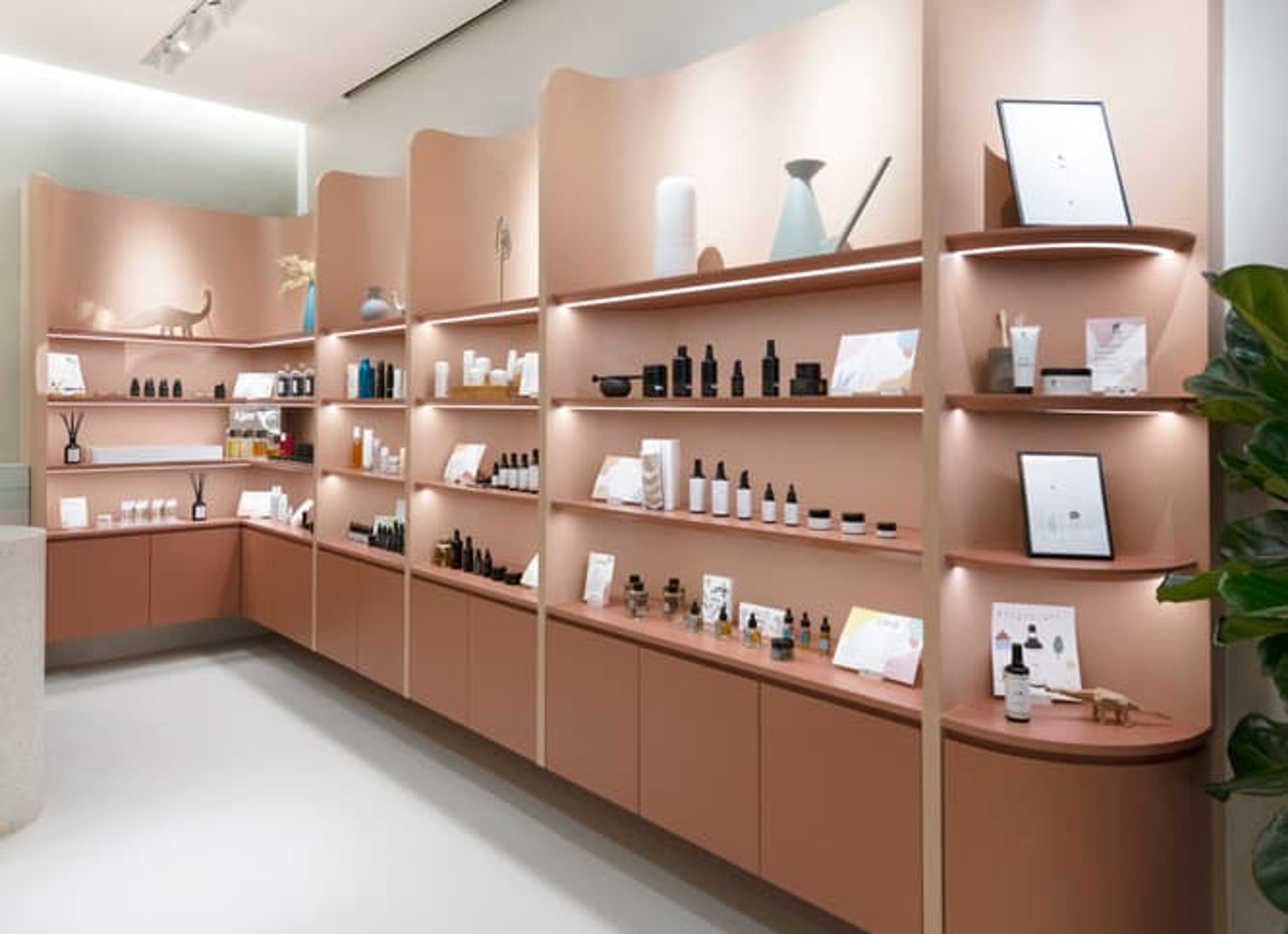 Example of products on retail store shelves
