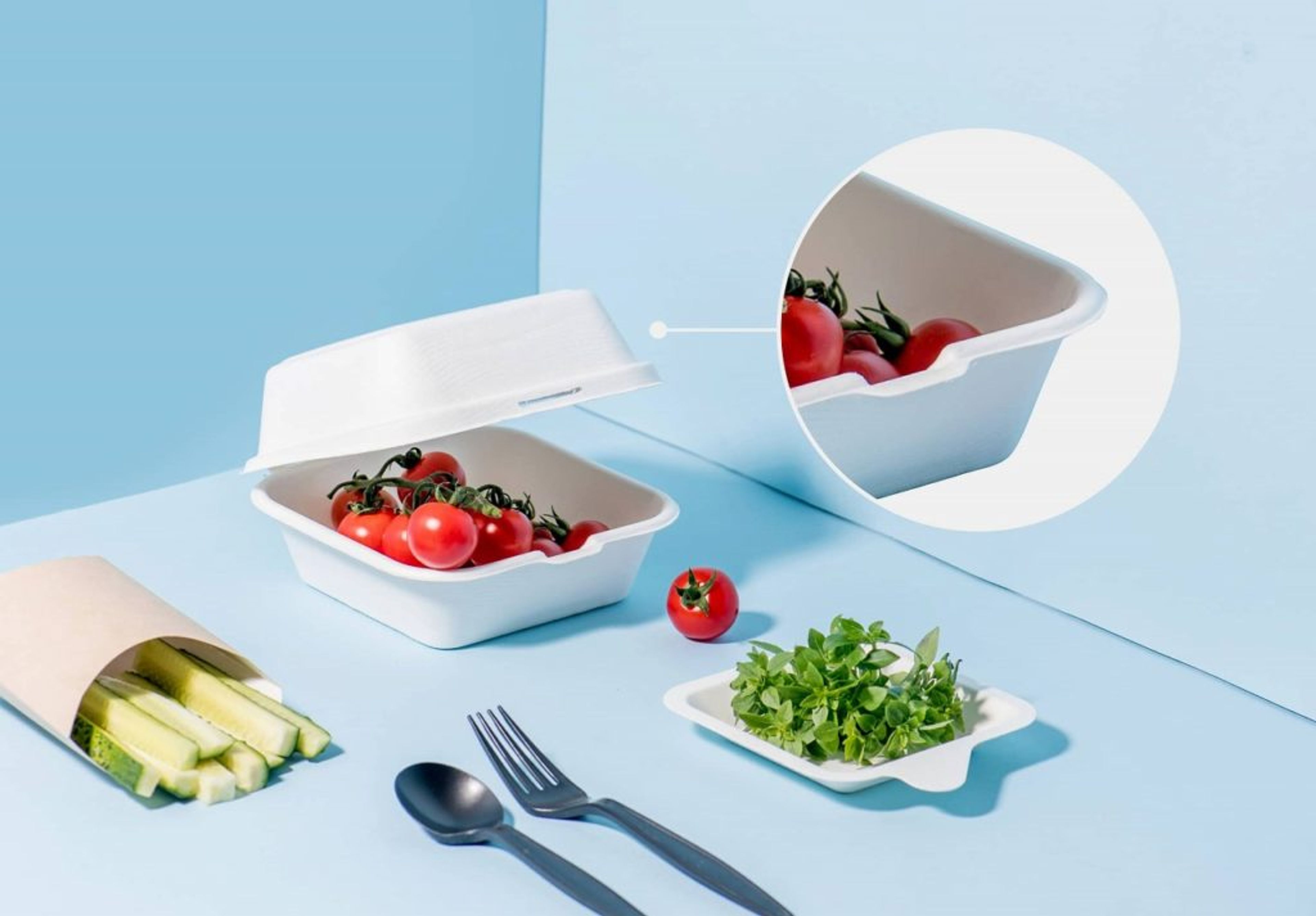 Example green packaging materials - Bagasse
