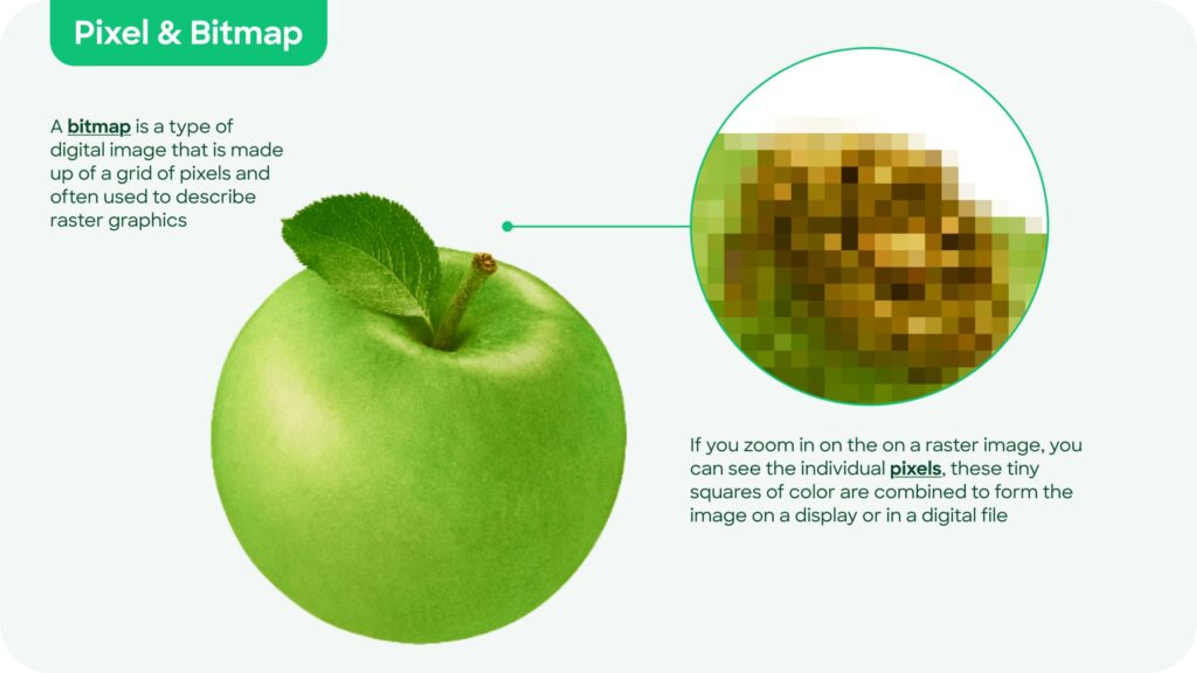A diagram explaining the difference between bitmap and pixel-based images.