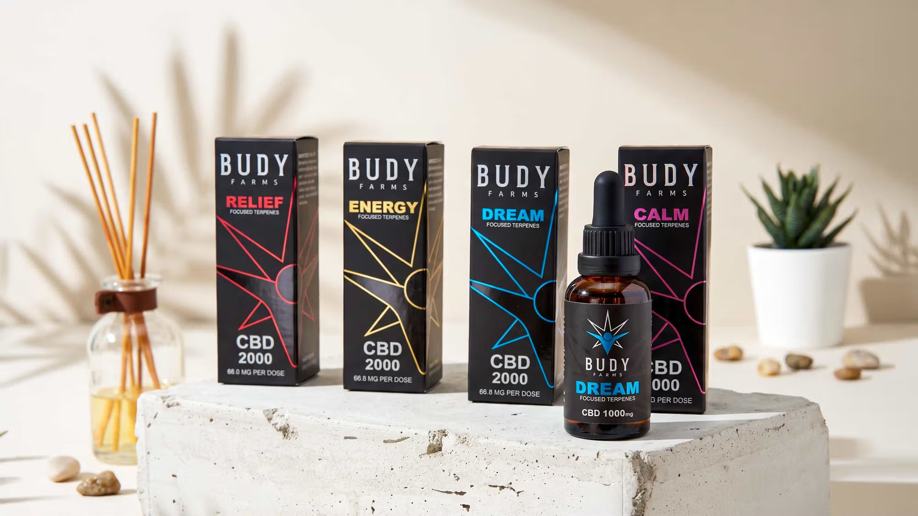 Four Budy Farms CBD boxes lined up with the blue Dream dropper bottle placed in front on a textured stone surface.