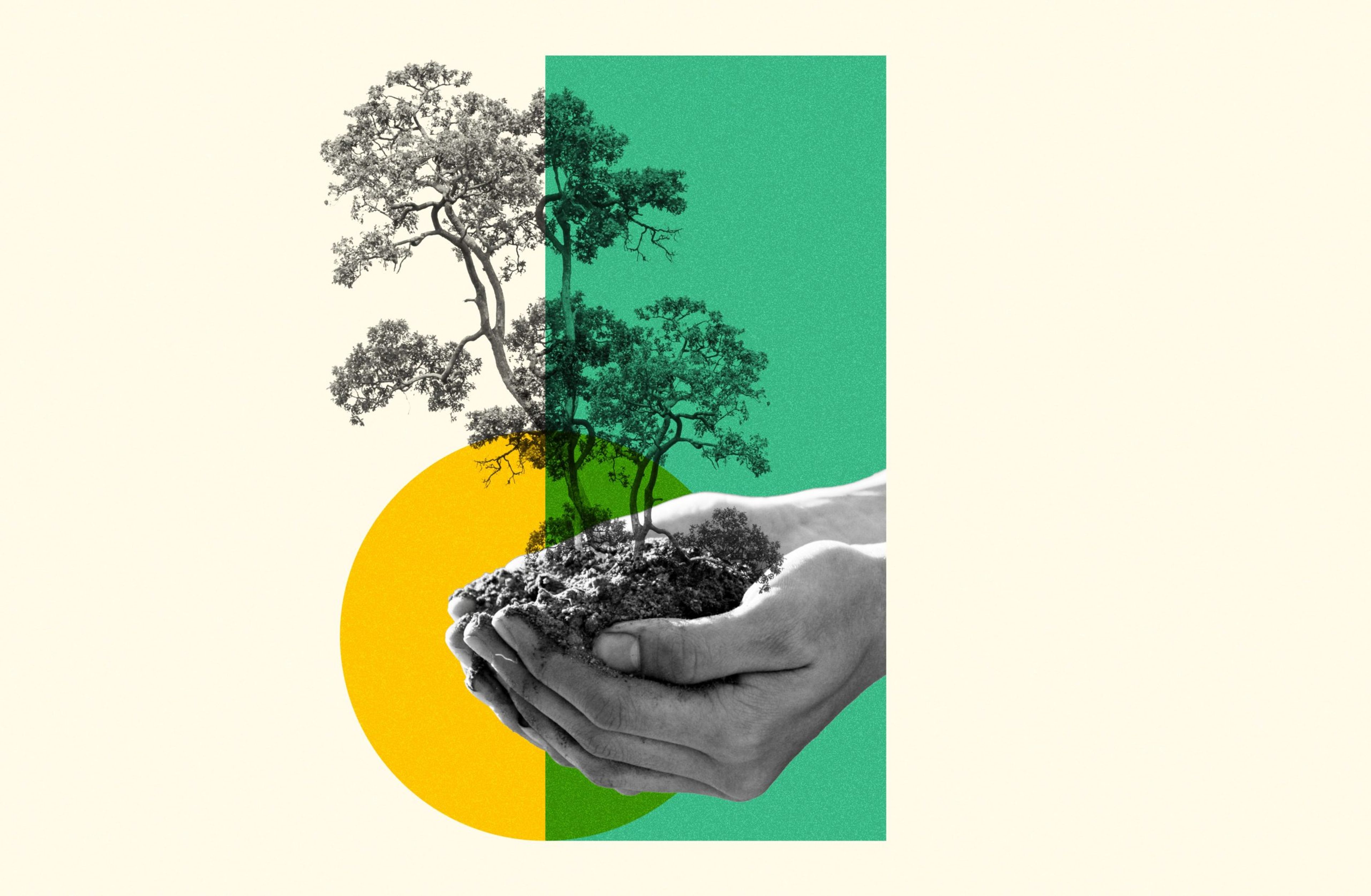 How to Minimize Packaging Waste Through Sustainable Packaging