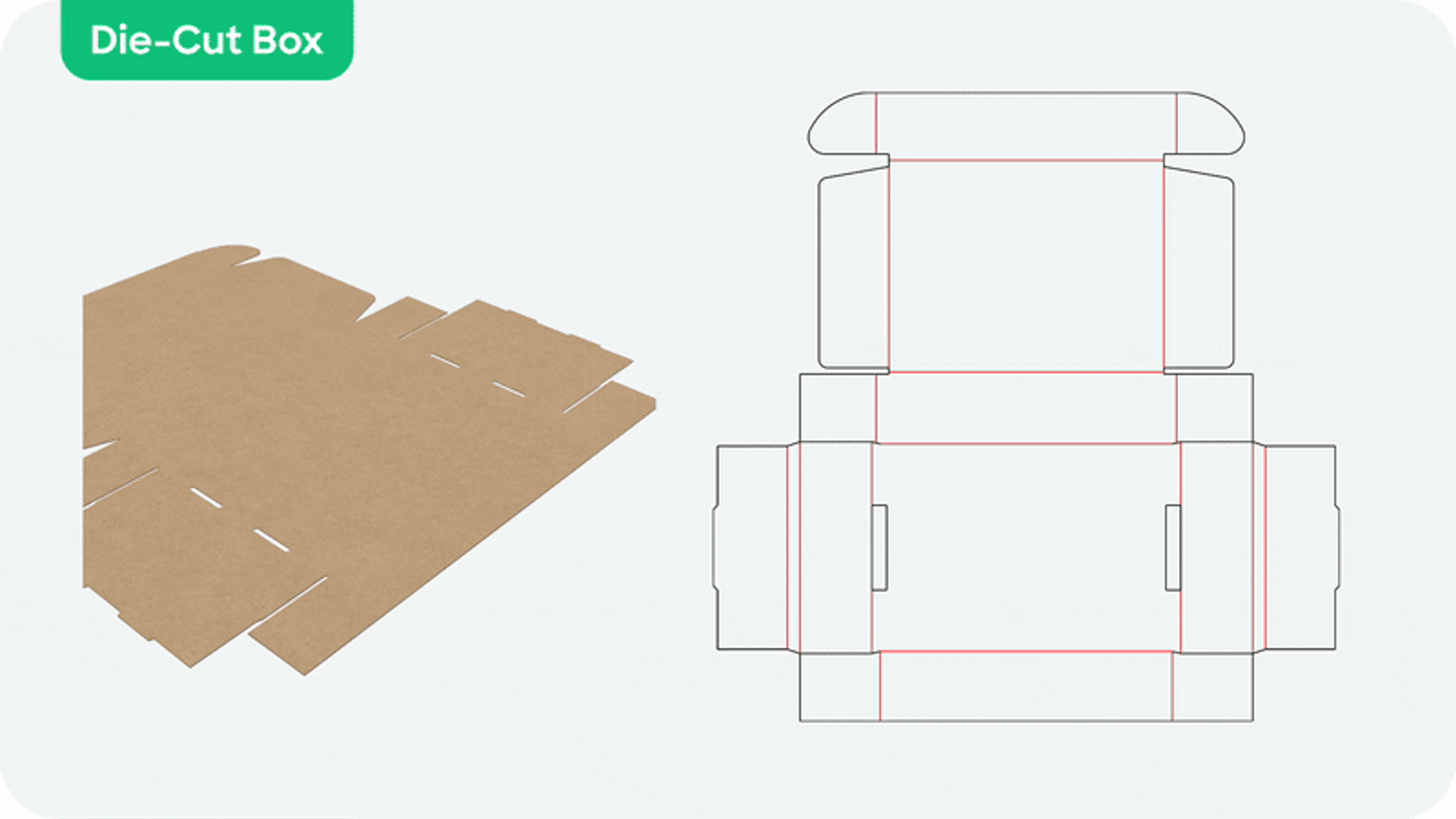 Example of a die cut box and its dieline, showing how it is folded in 3D mockup.