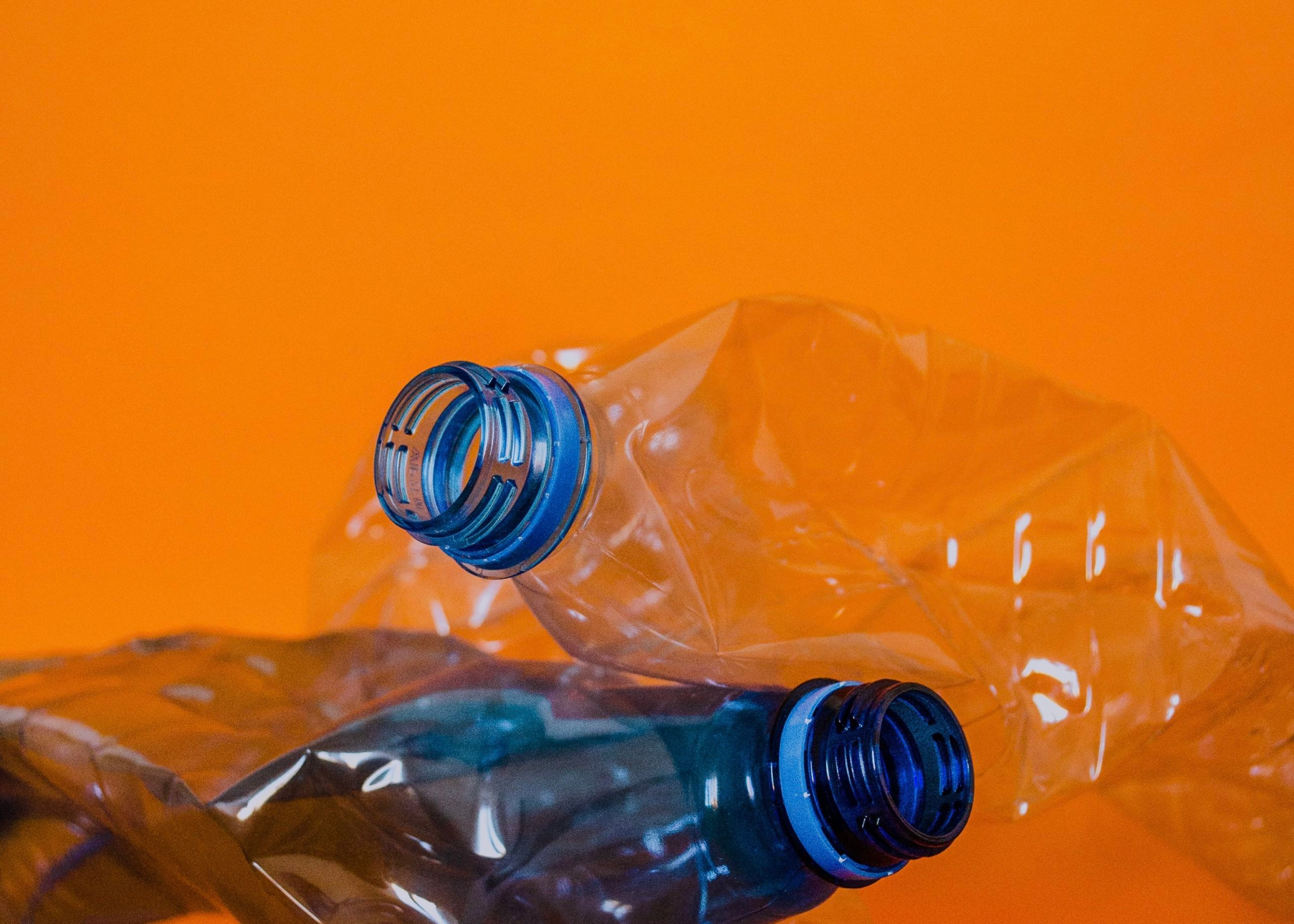 The Plastic Ban and How it Affects Your Business