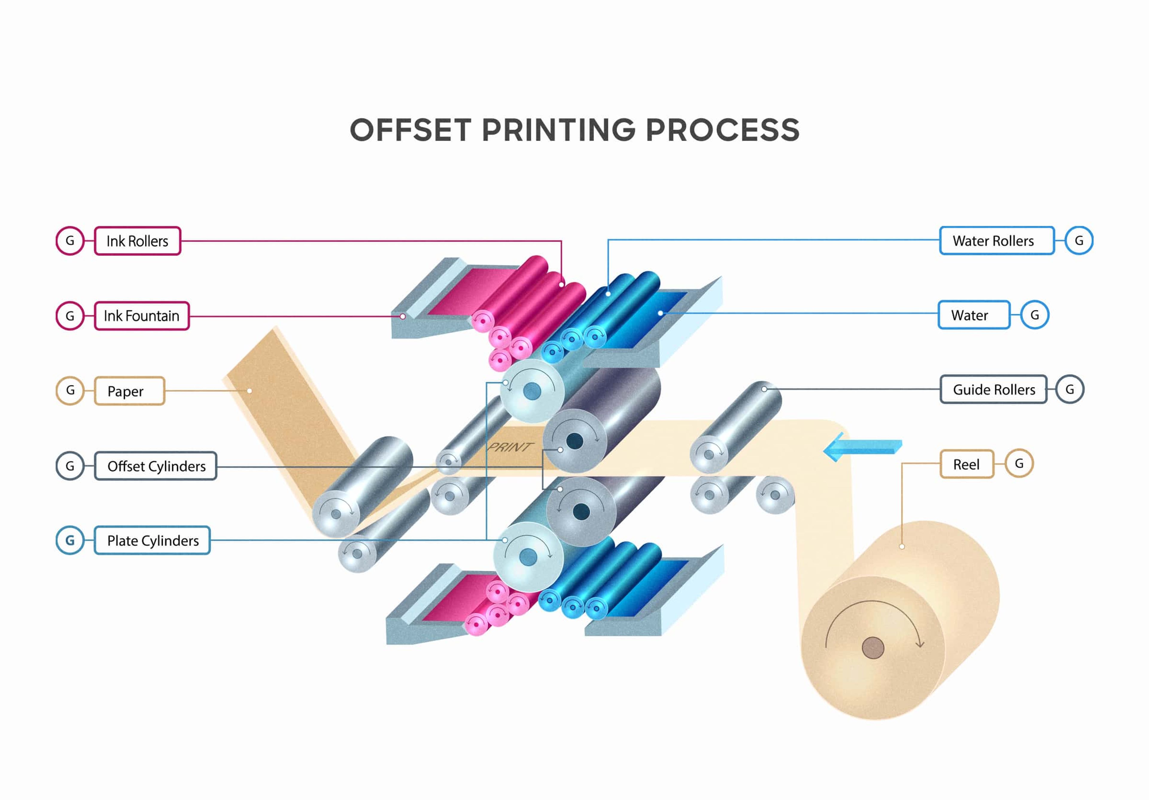 Diagram showing the process of offset printing.