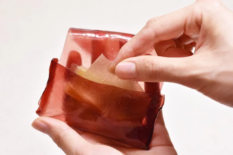 Wrappers in edible wrapper.
