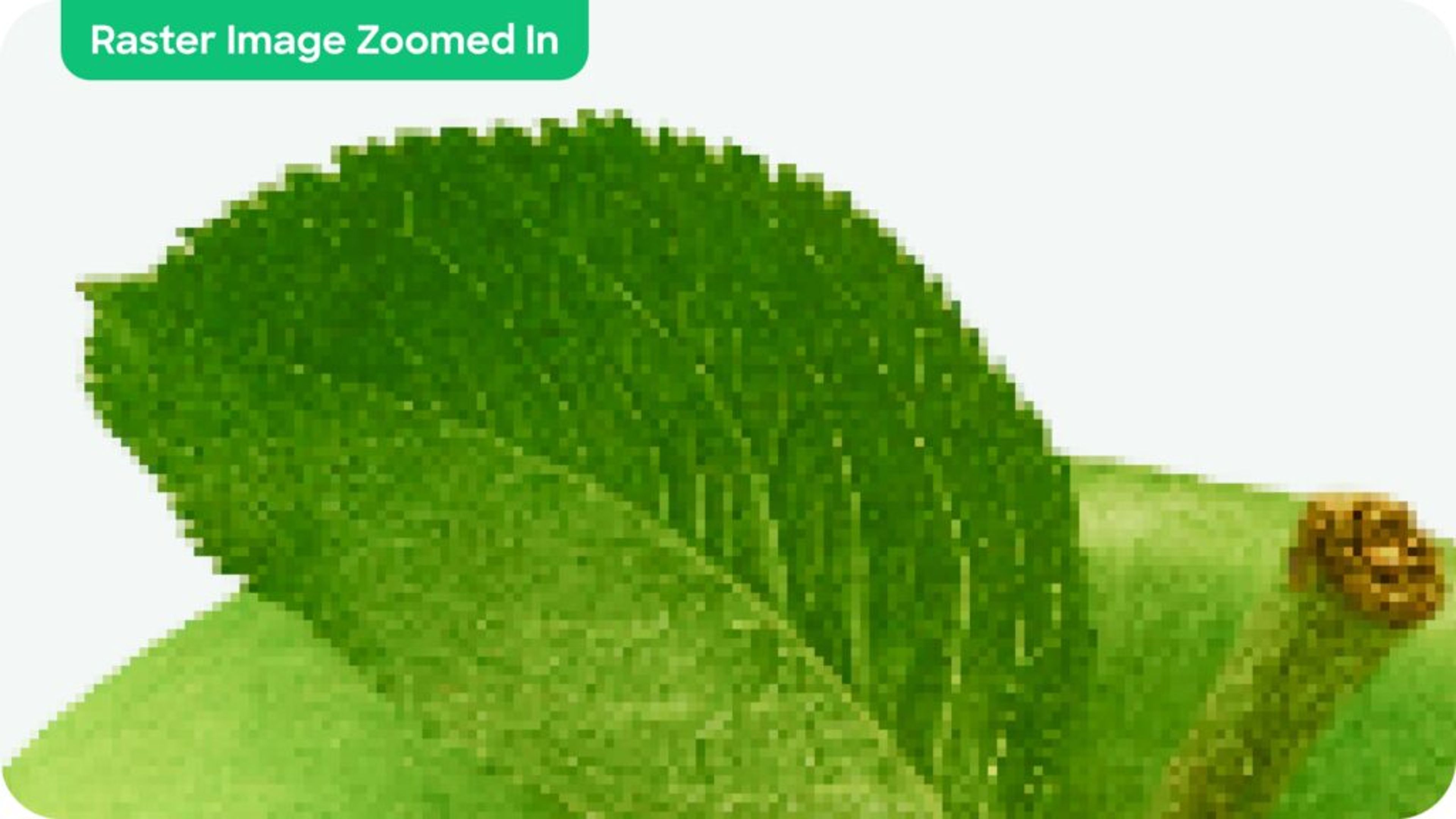 Example of a raster image zoomed in to show pixelation.