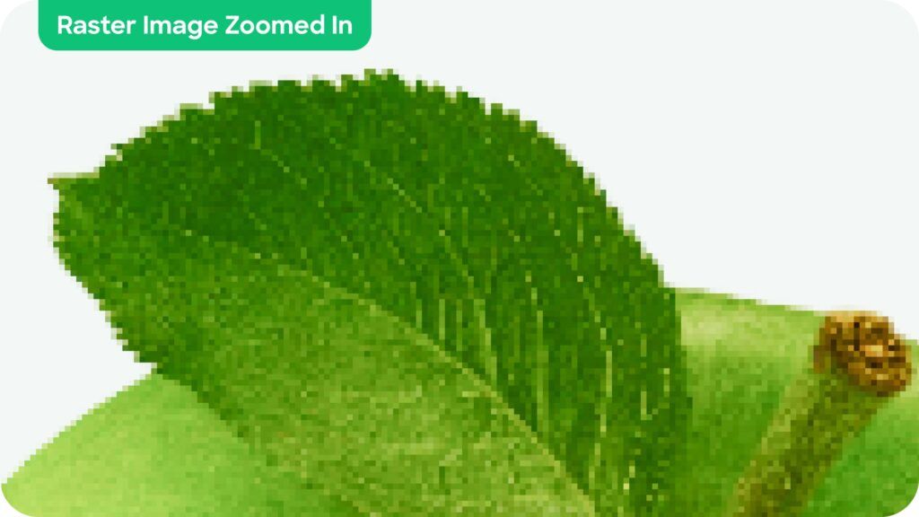 Example of a raster image zoomed in to show pixelation.