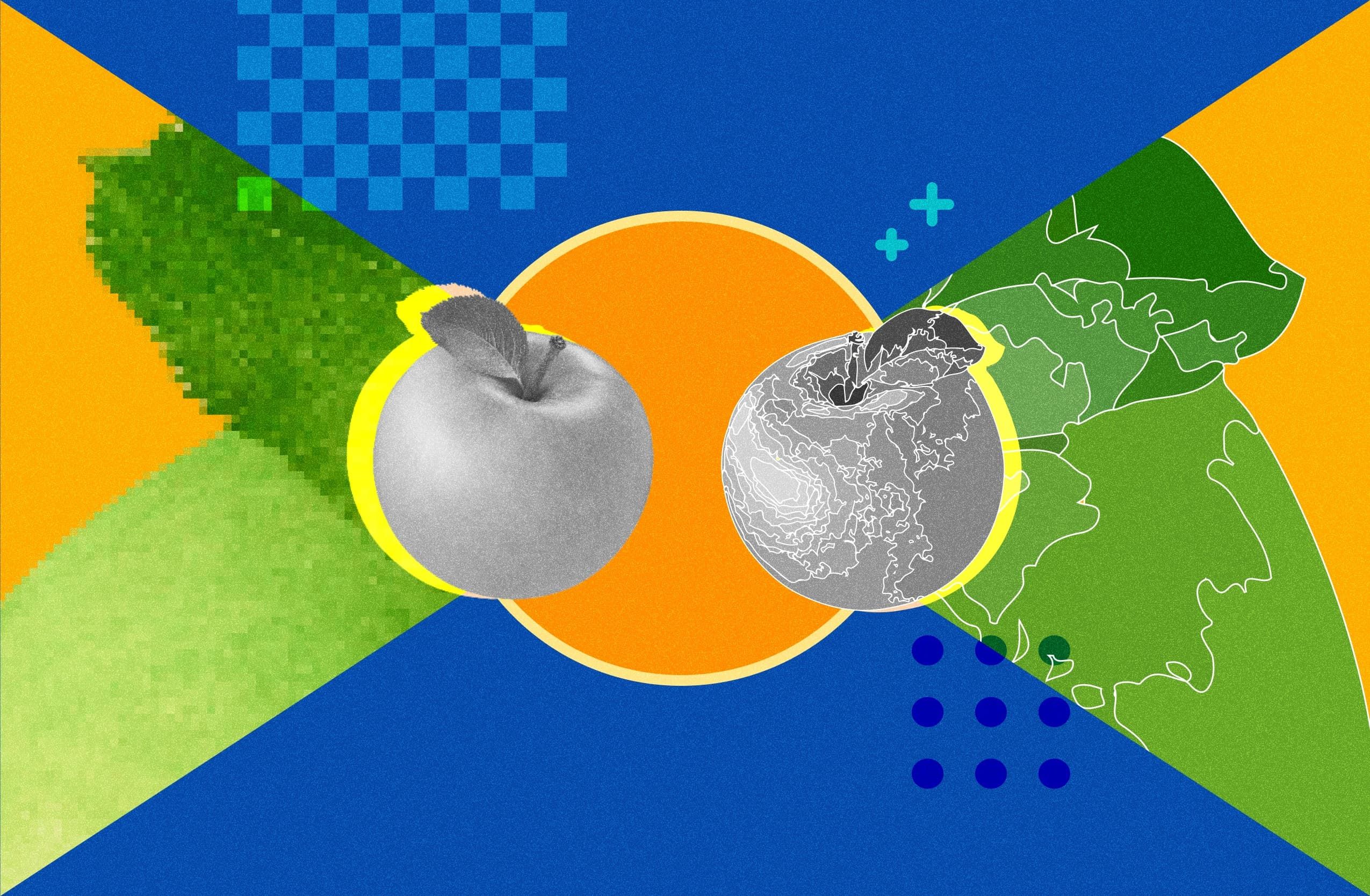 Raster vs Vector: Which to Use for Packaging?