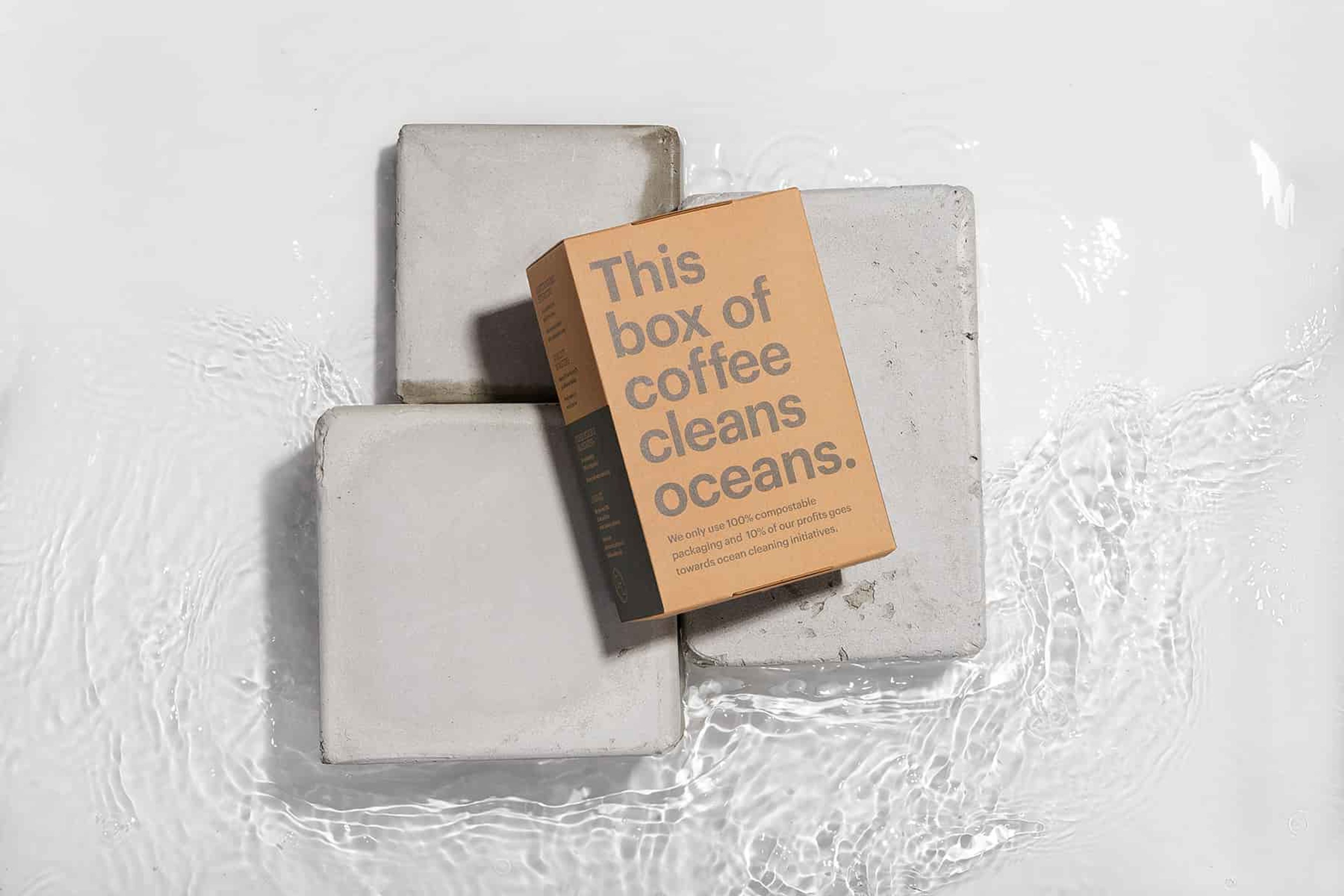 Back of a compostable Tideline coffee box resting on grey concrete blocks in rippling water.