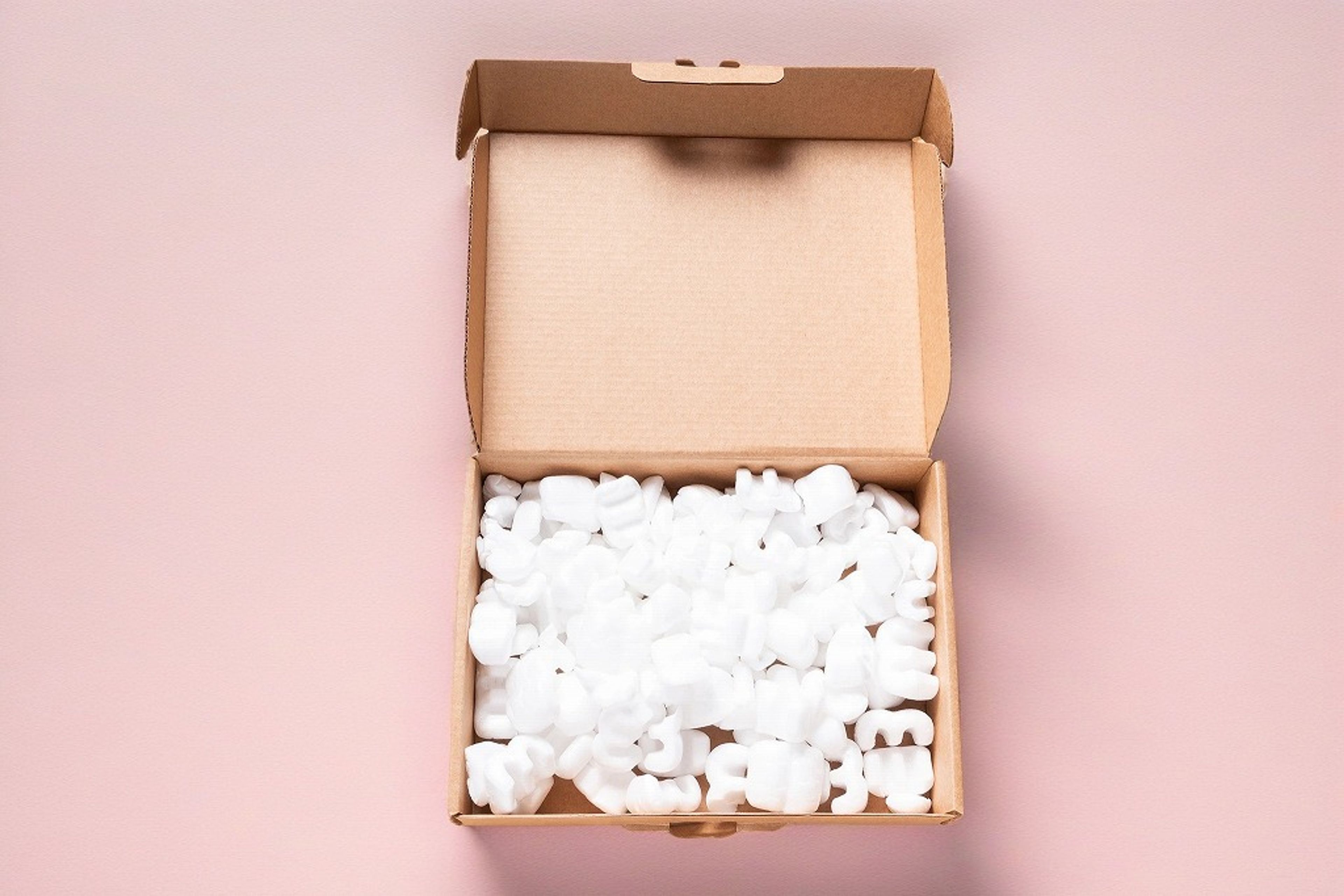 Bio Foam Fillers in Product Box