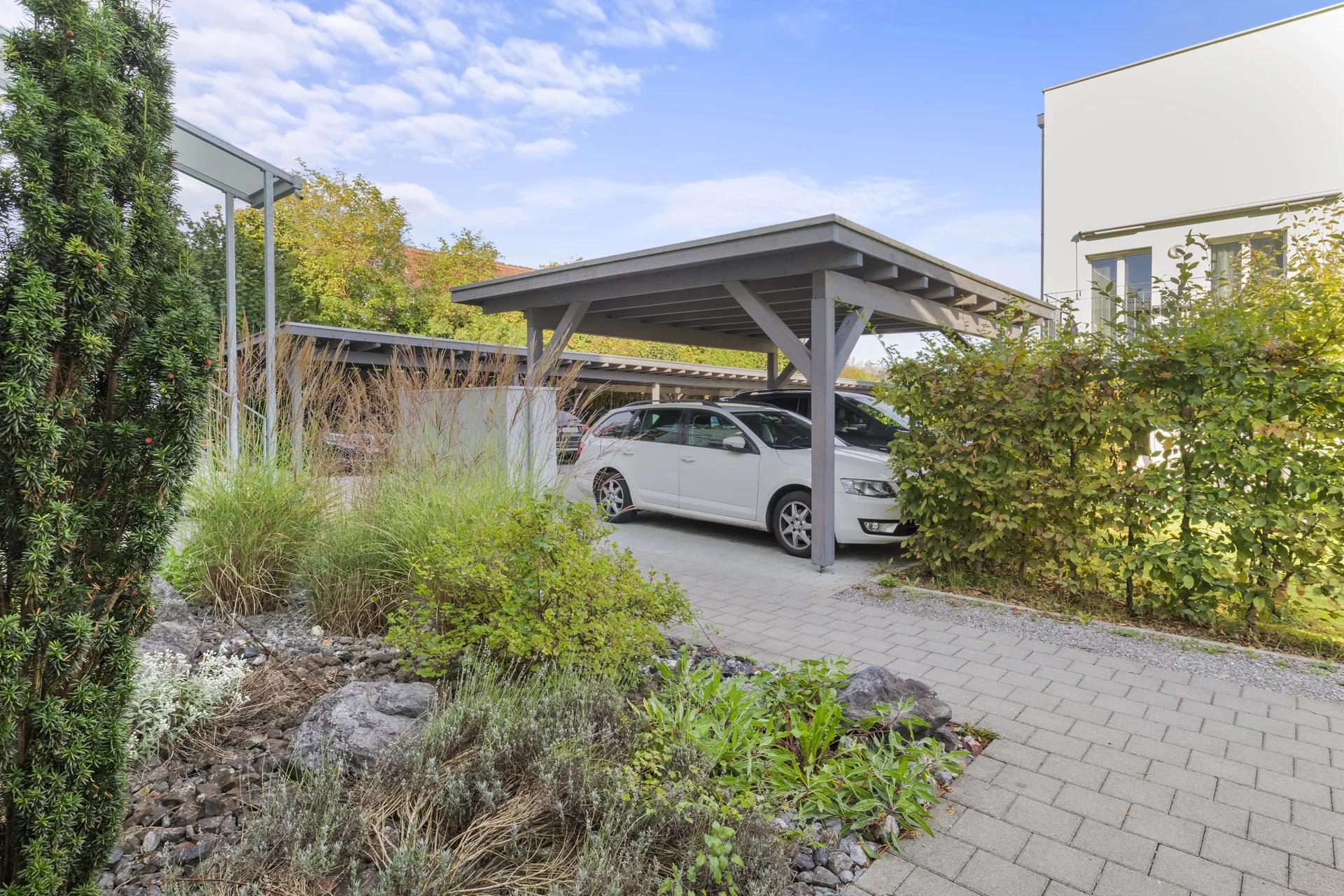 RIEDHOF – Bild 8