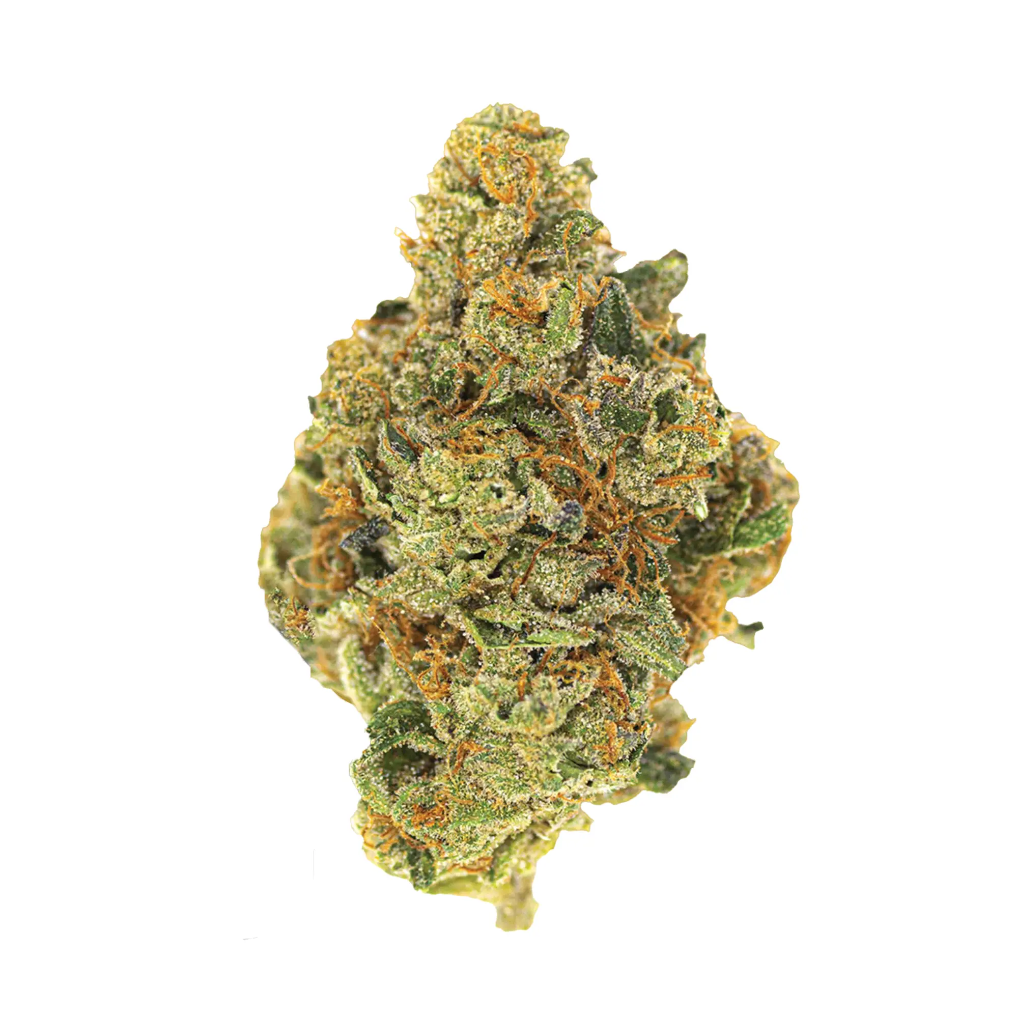 product preview image for Plum Dawg Millionaire - Private Stock Eighth