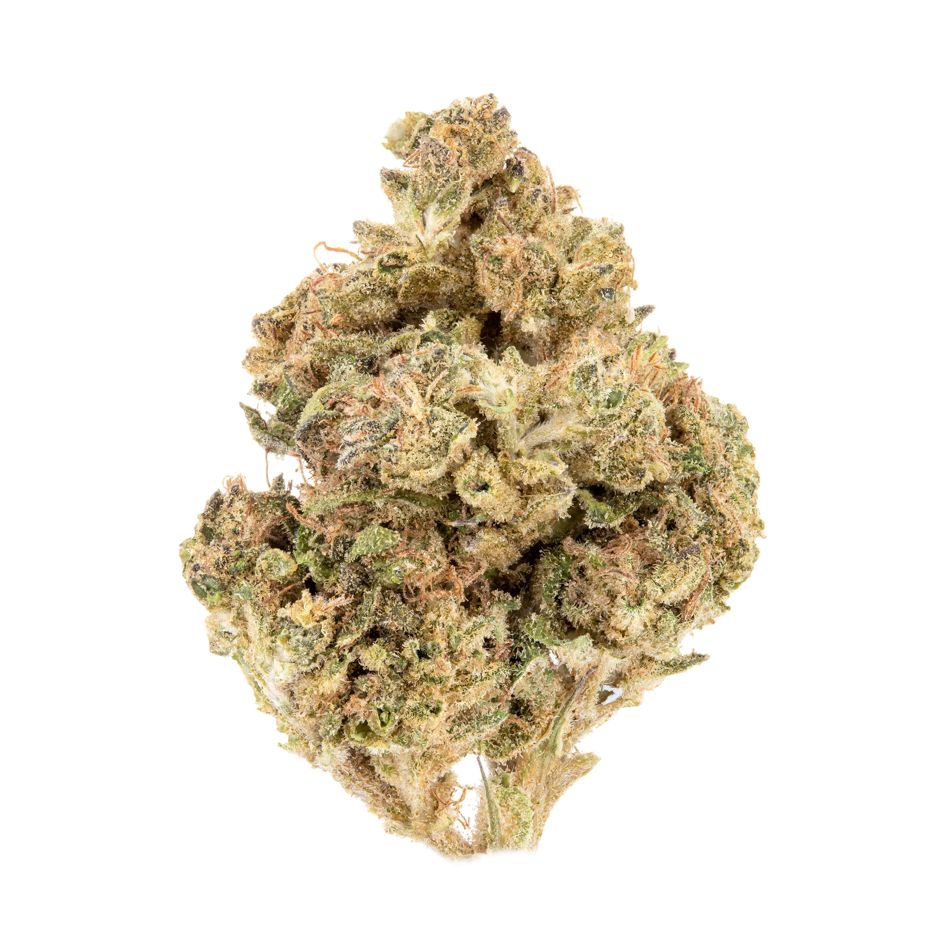 product preview image for Bacio