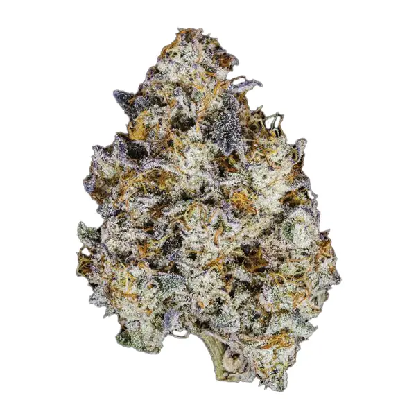 product preview image for Cobra Kush - Gold Cut