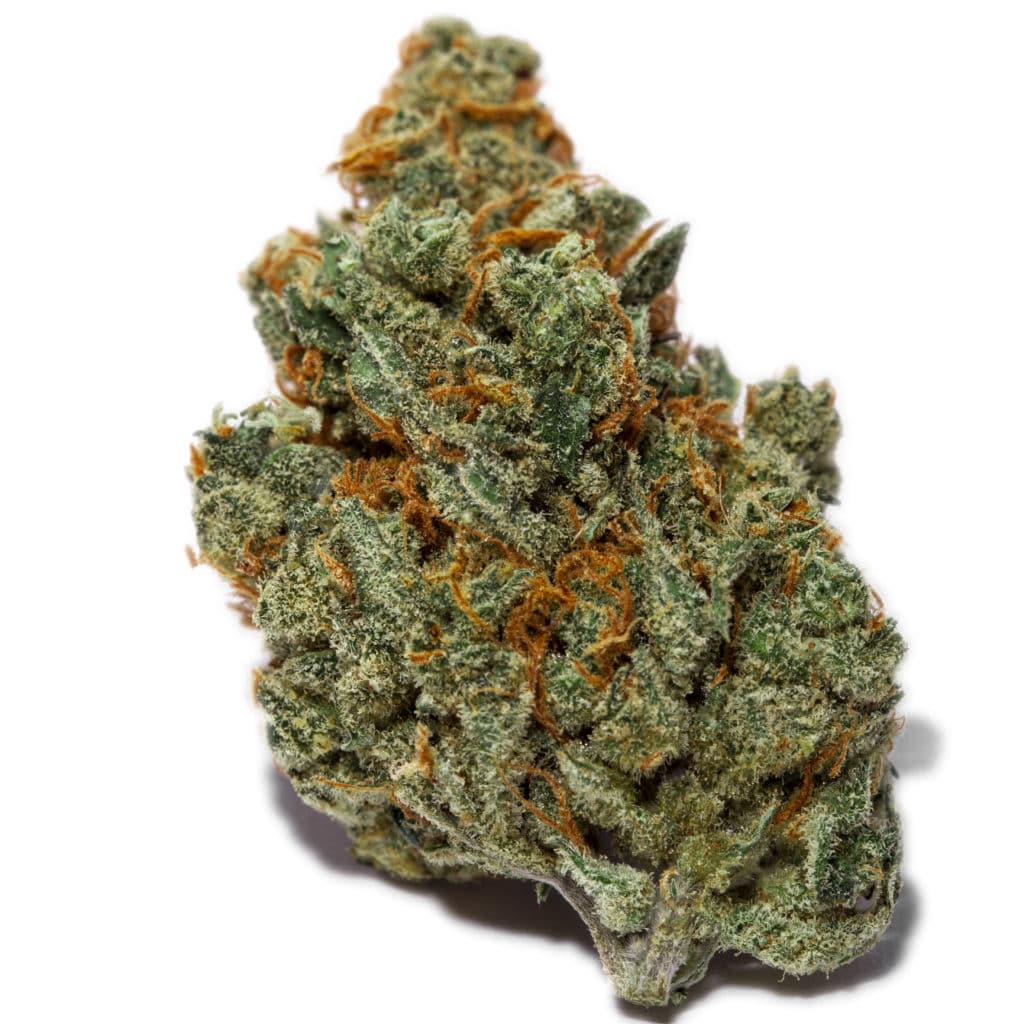 Top Ten Sativa Strains