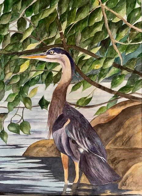 Blue Heron