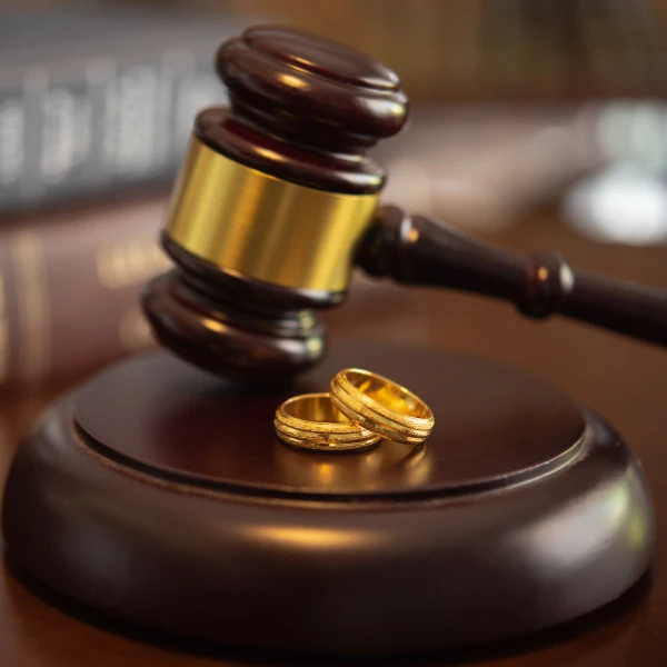 legal proceeding litigation contract