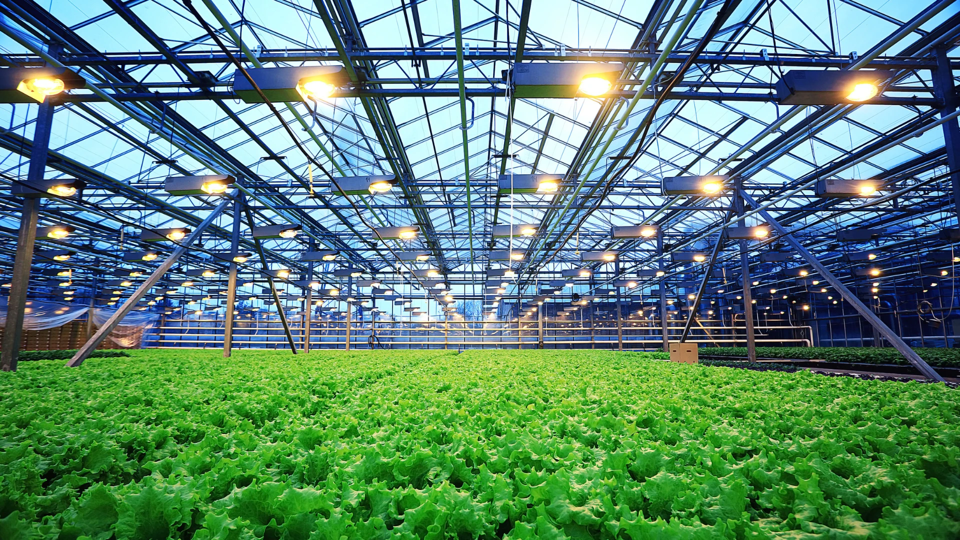 Agribusiness greenhouse