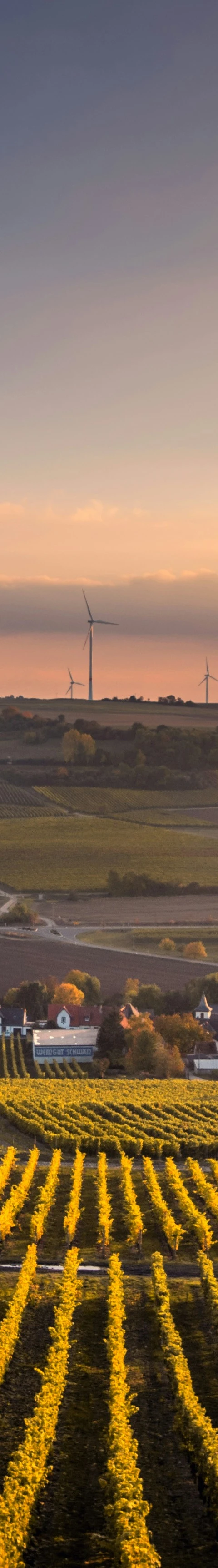 farm to represent agribusiness