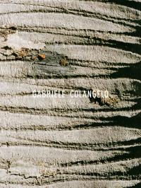 Gabriele Colangelo - SS25 | Erin Fee Productions