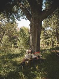 W Magazine - The Summer Issue 2024 Cover | Erin Fee Productions