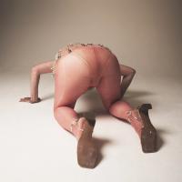 Ponystep SS25 - David Hoyle | Erin Fee Productions