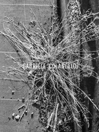 Gabriele Colangelo - SS25 | Erin Fee Productions