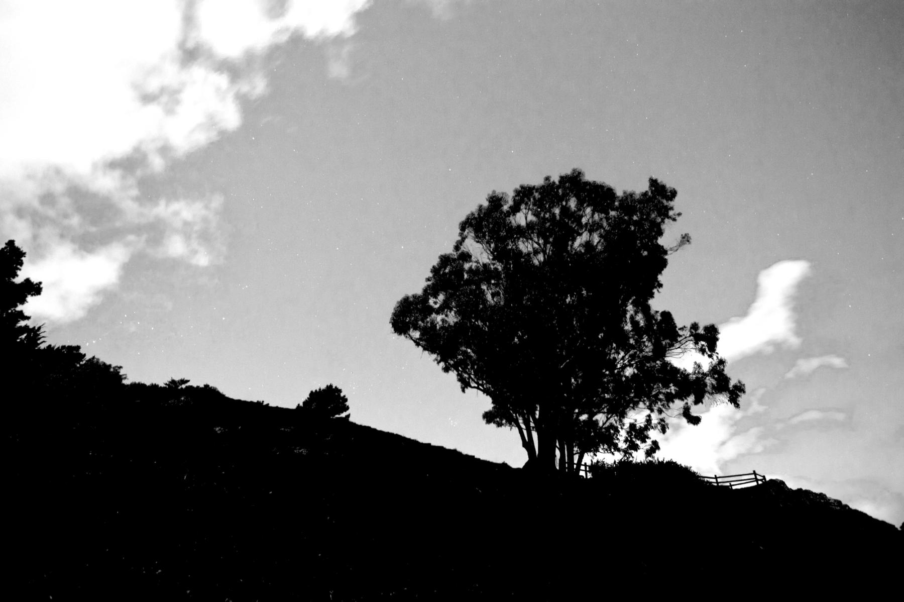 Photo of Billy Goat Hill with trees in silhouette and clouds