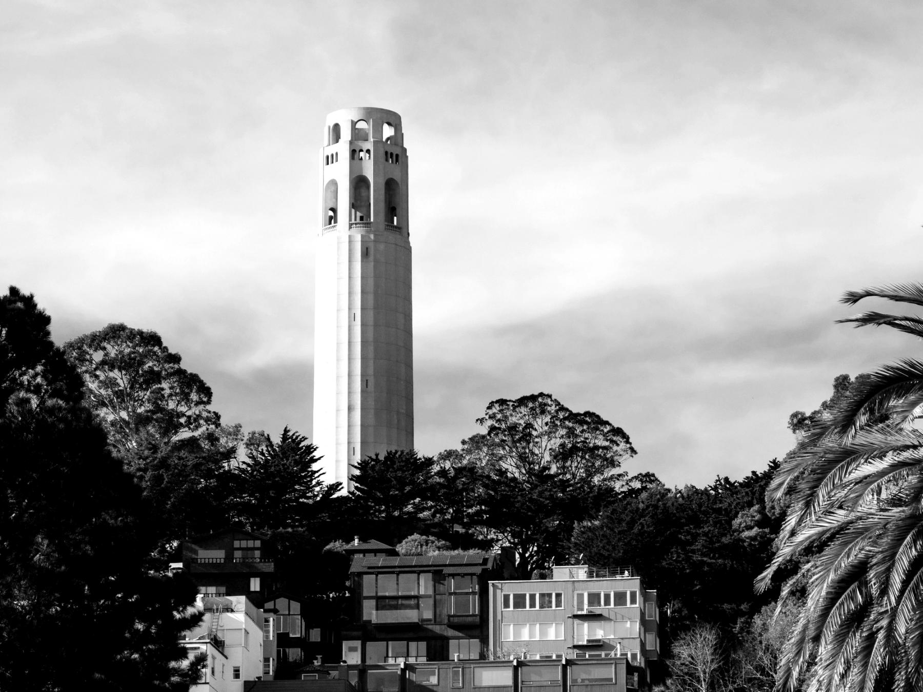 Coit Tower on Telegraph Hill, towering over and surrounded by trees and buildings