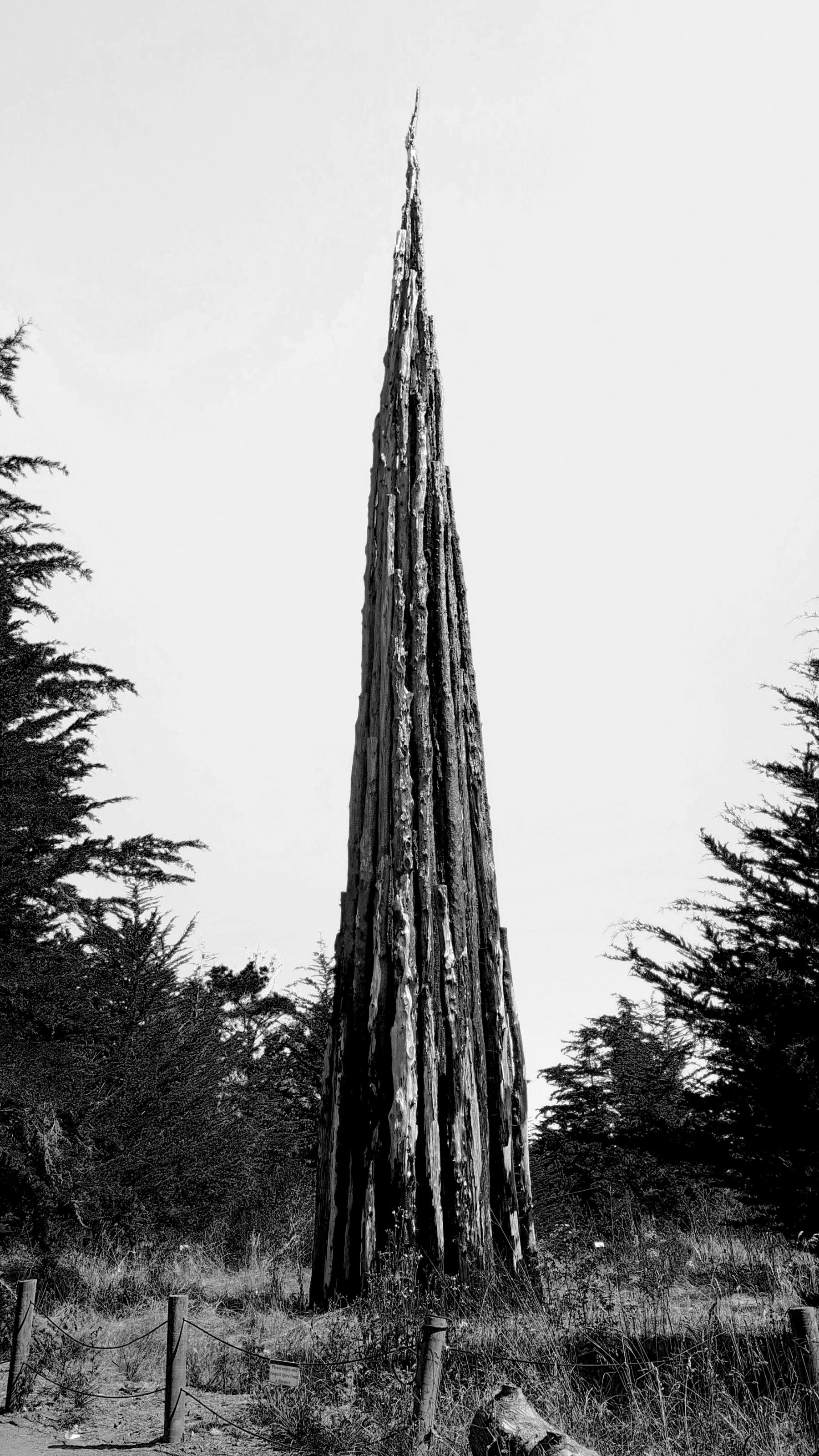 An artwork by Andy Goldsworthy, Spire, in situ.