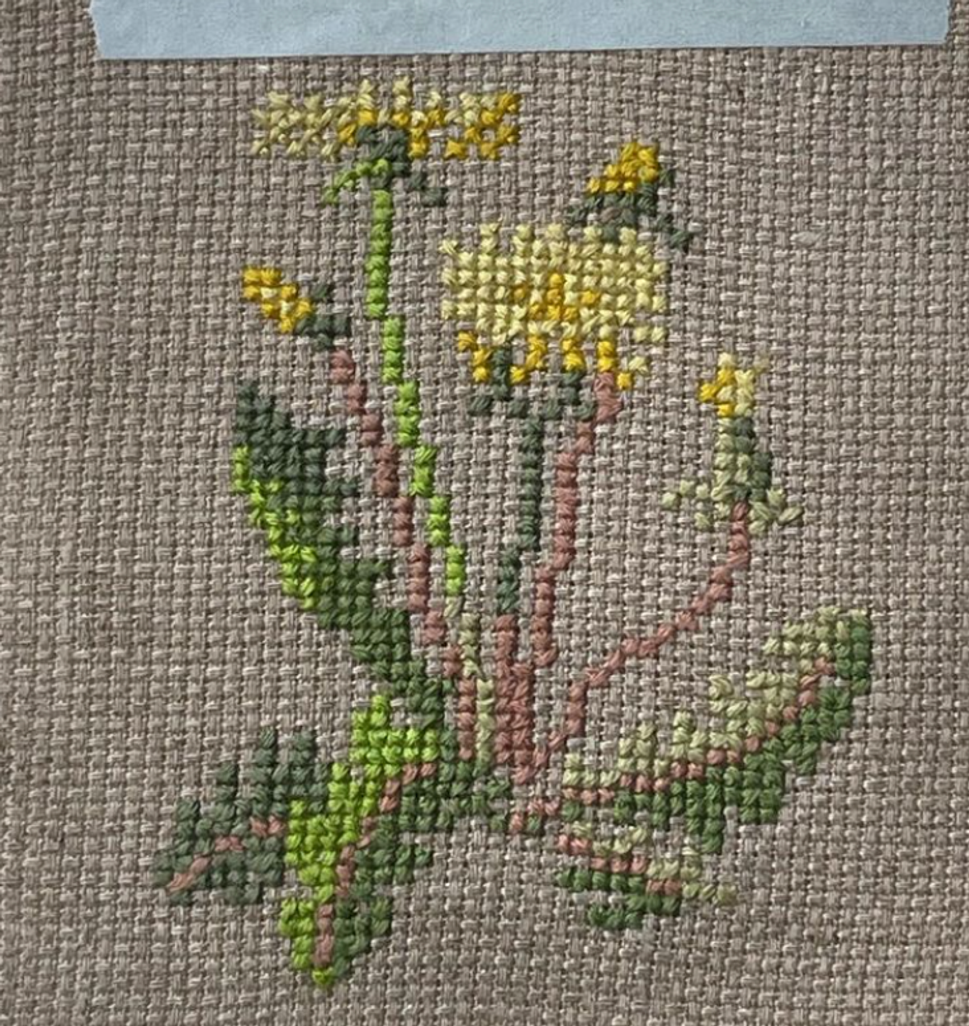dandelion