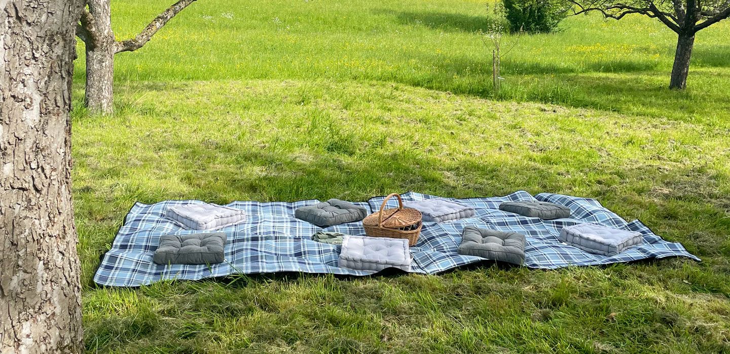 Picknickdecke auf Wiese mit 8 Kissen und Picknickkorb