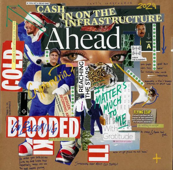 Collage - Cryptomeria 2024