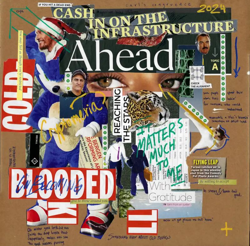 Collage - Cryptomeria 2024
