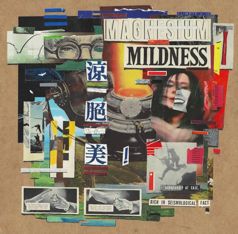Collage — Magnesium Mildness 2025