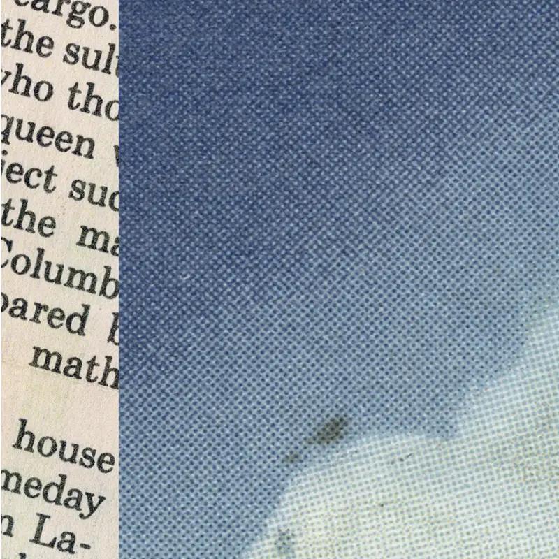 Anatomy of Melancholy - Detail 02