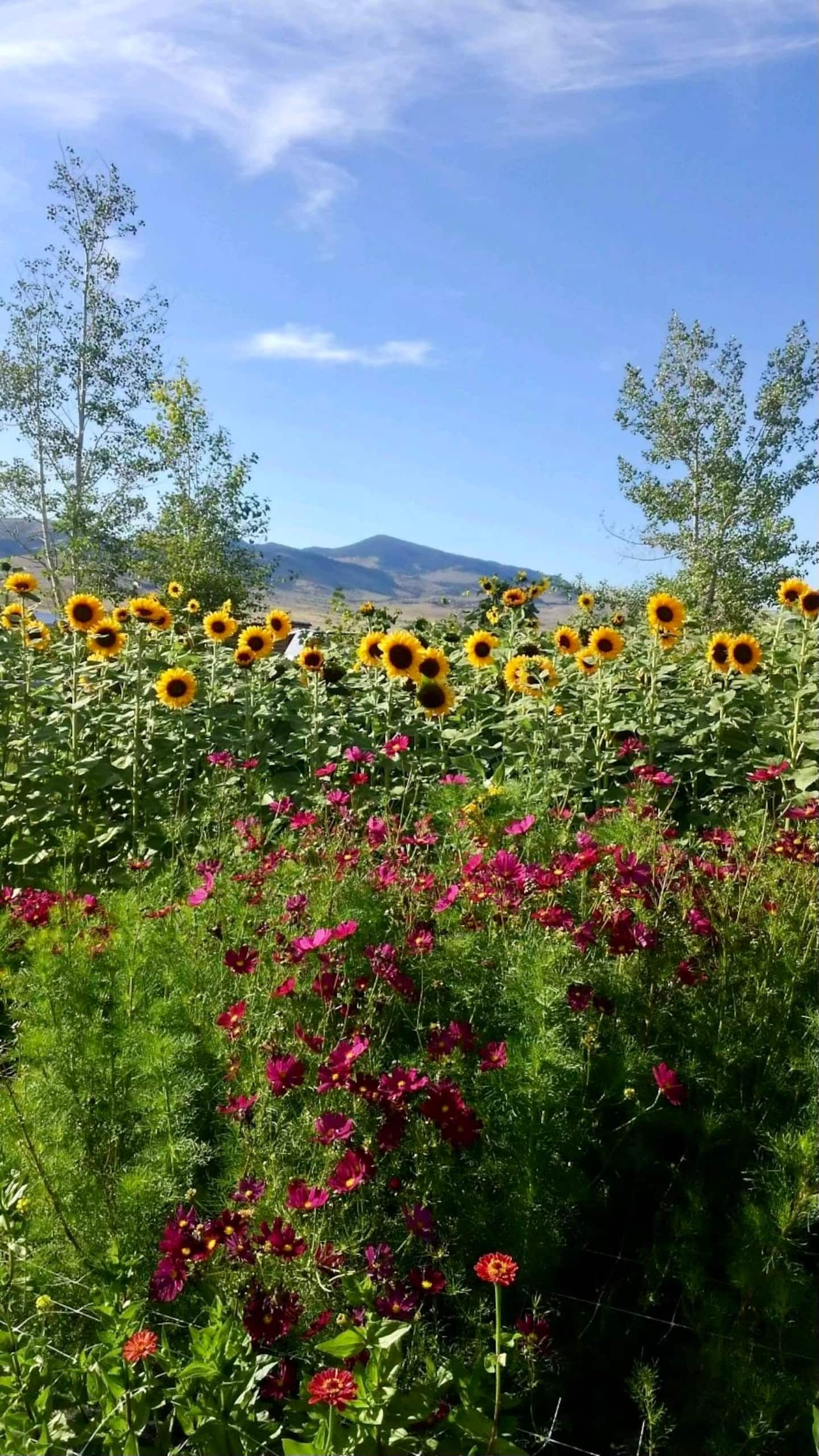 Bring Your Camper - photo 14 from our Airbnb gallery