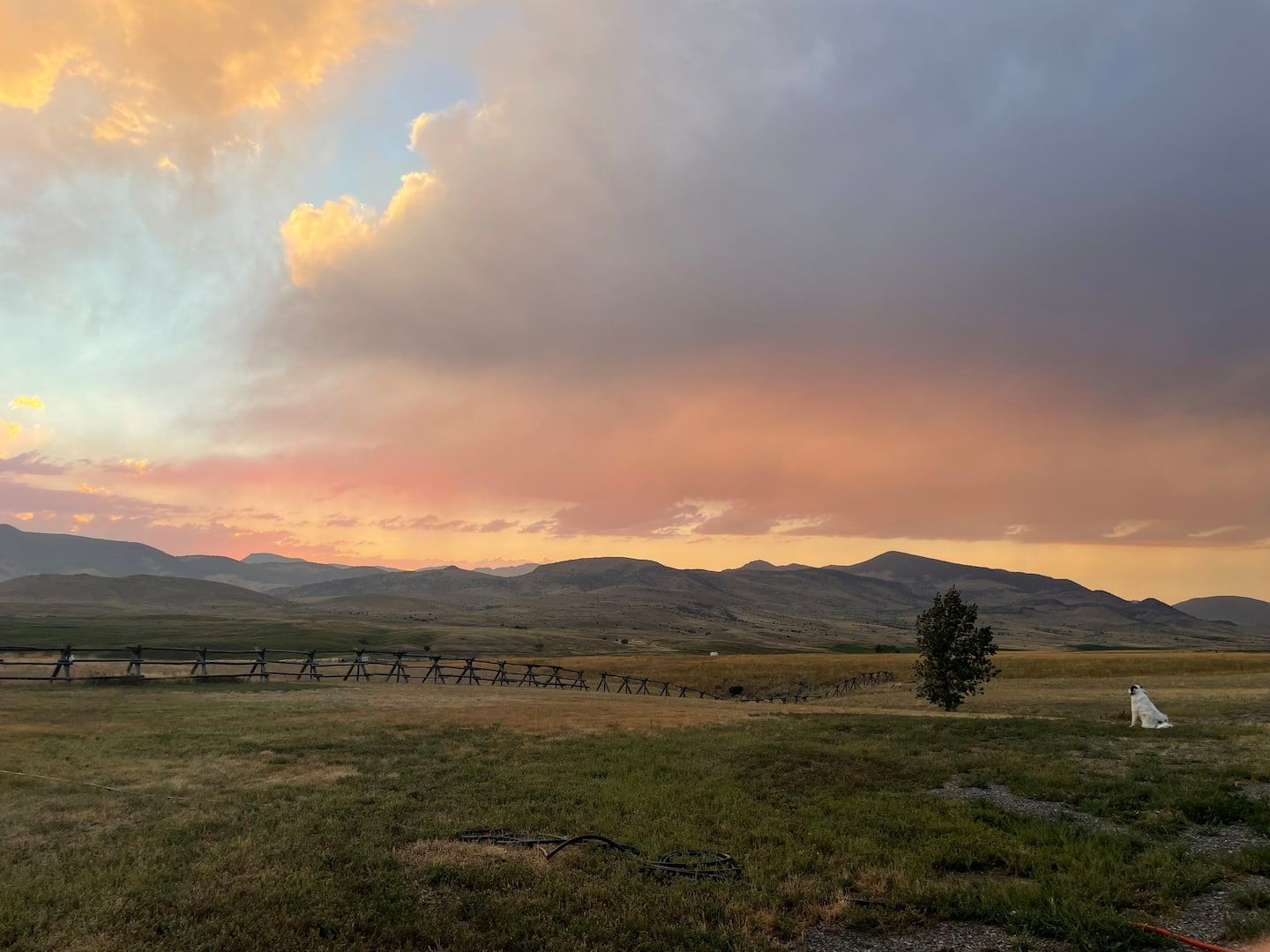 Bring Your Camper - photo 6 from our Airbnb gallery