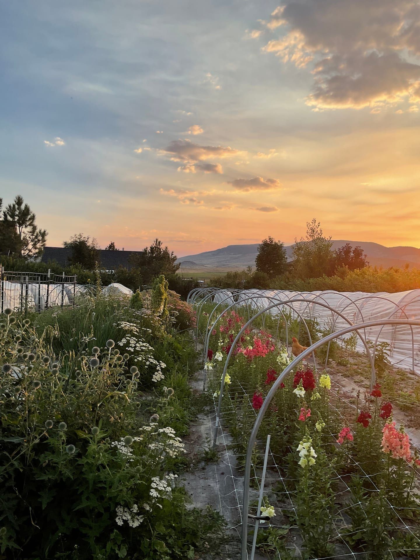 Bring Your Camper - photo 9 from our Airbnb gallery