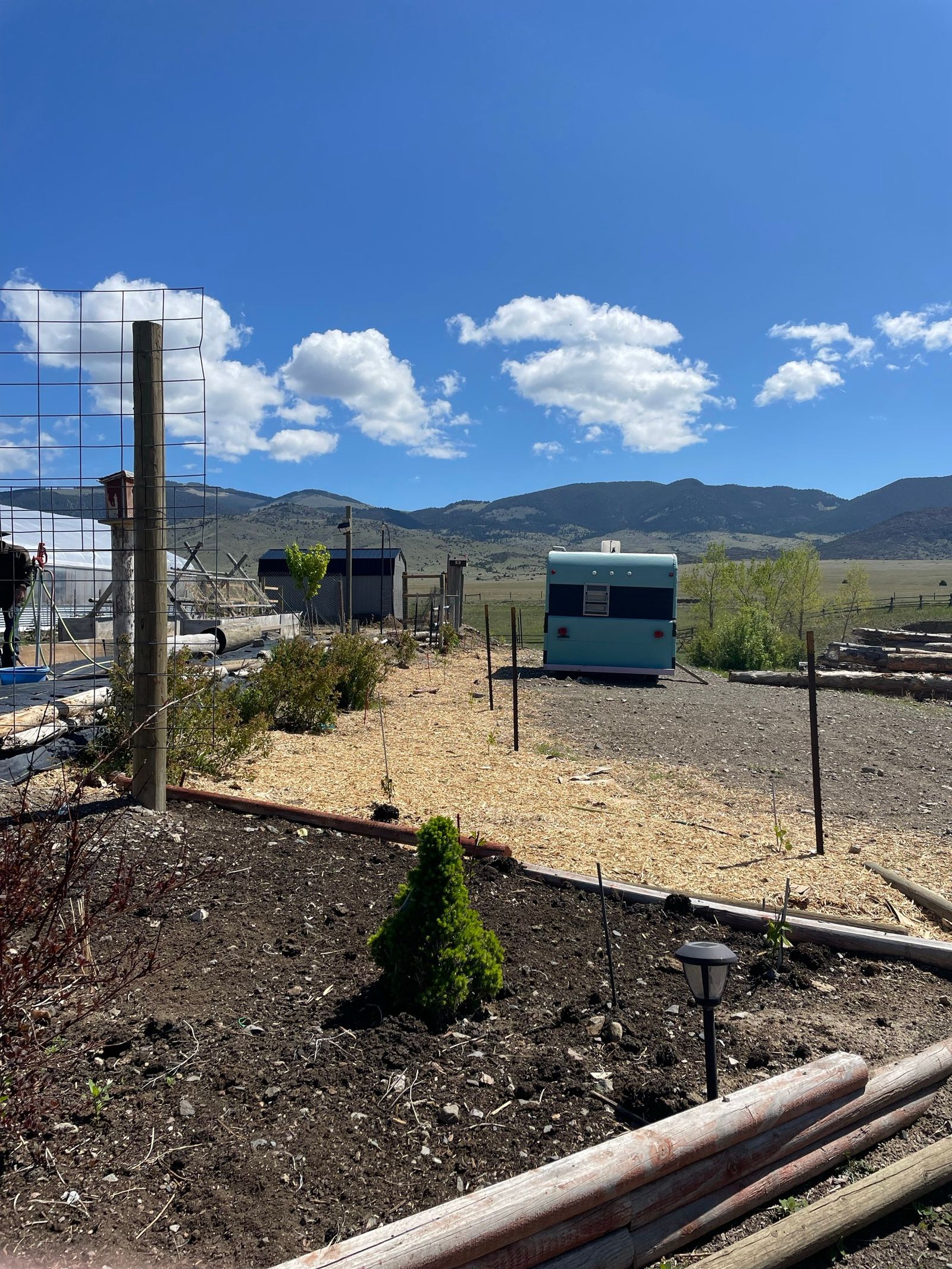 New spring beds and a vintage trailer under a big blue sky, mountains beyond