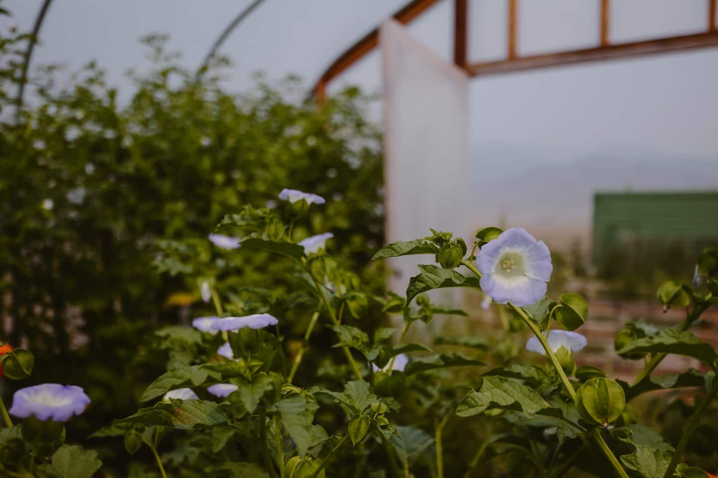 Pitch Your Tent - photo 26 from our Airbnb gallery