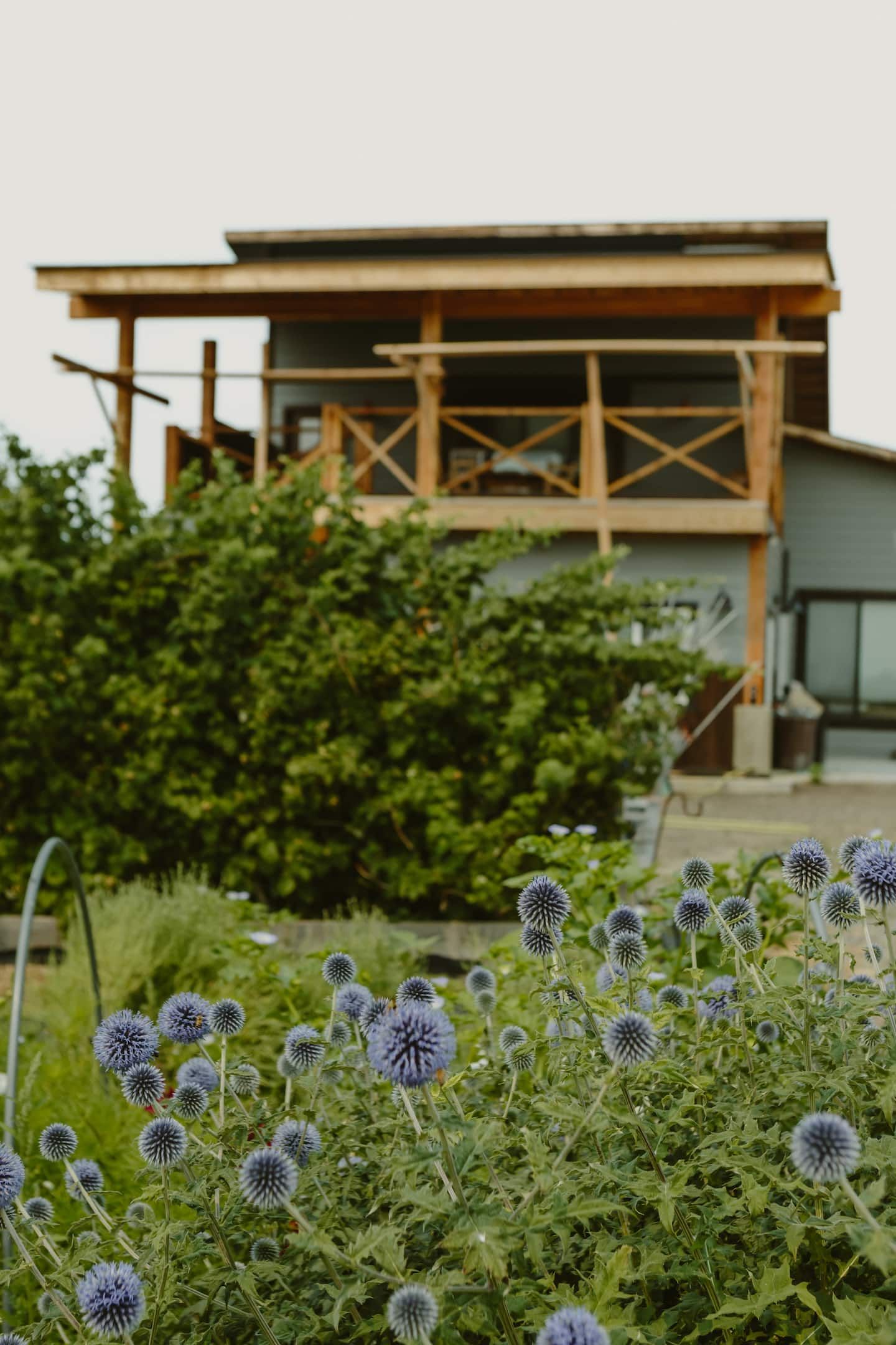 Headframe Hideaway - photo 20 from our Airbnb gallery