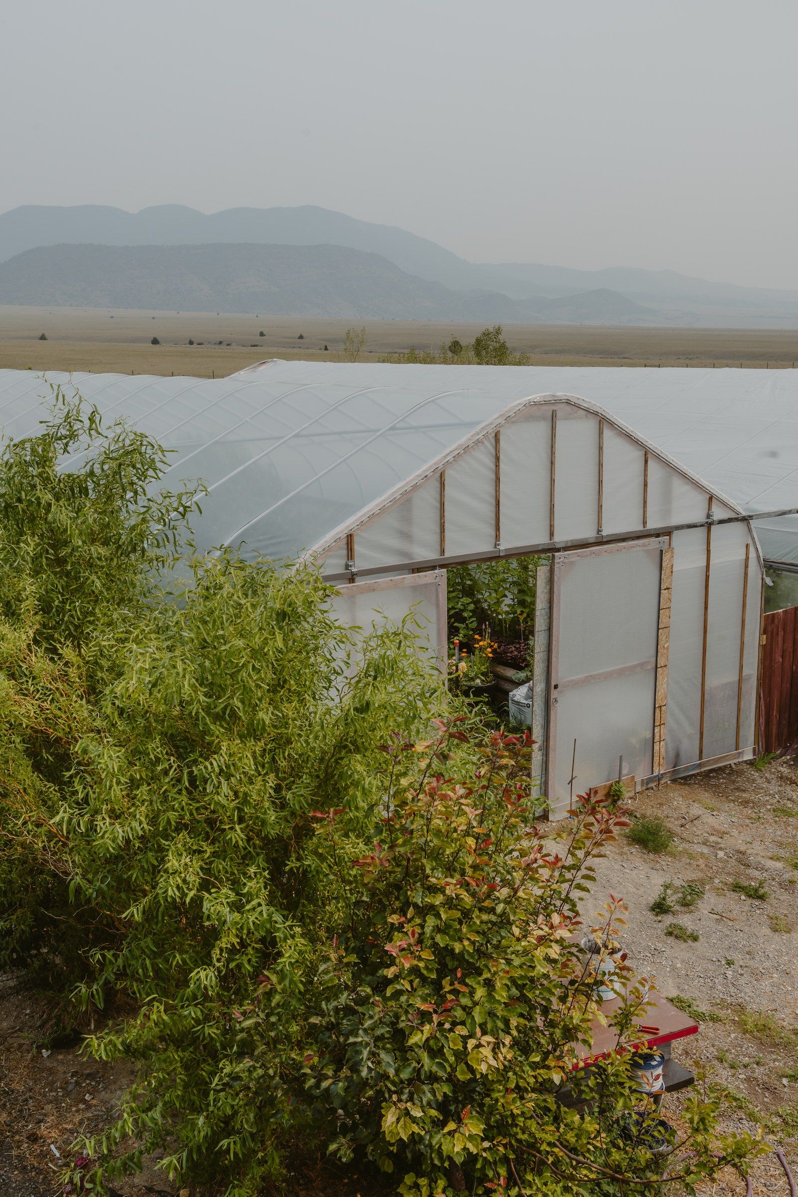 A hoop house at GardenMontana with its door open to flowers inside, the valley and mountains beyond